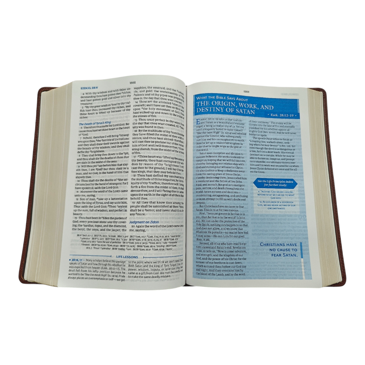 KJV Charles F. Stanley Life Principles Bible - Brown Genuine Leather (King James Version)