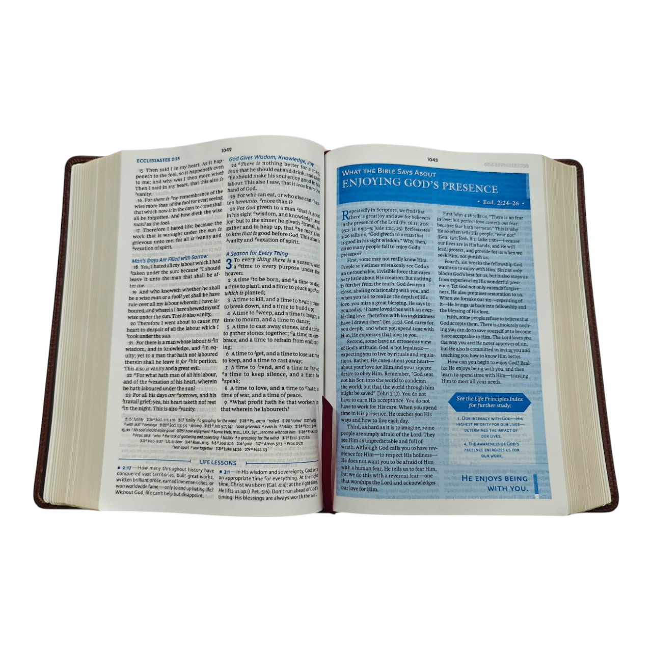 KJV Charles F. Stanley Life Principles Bible - Brown Genuine Leather (King James Version)