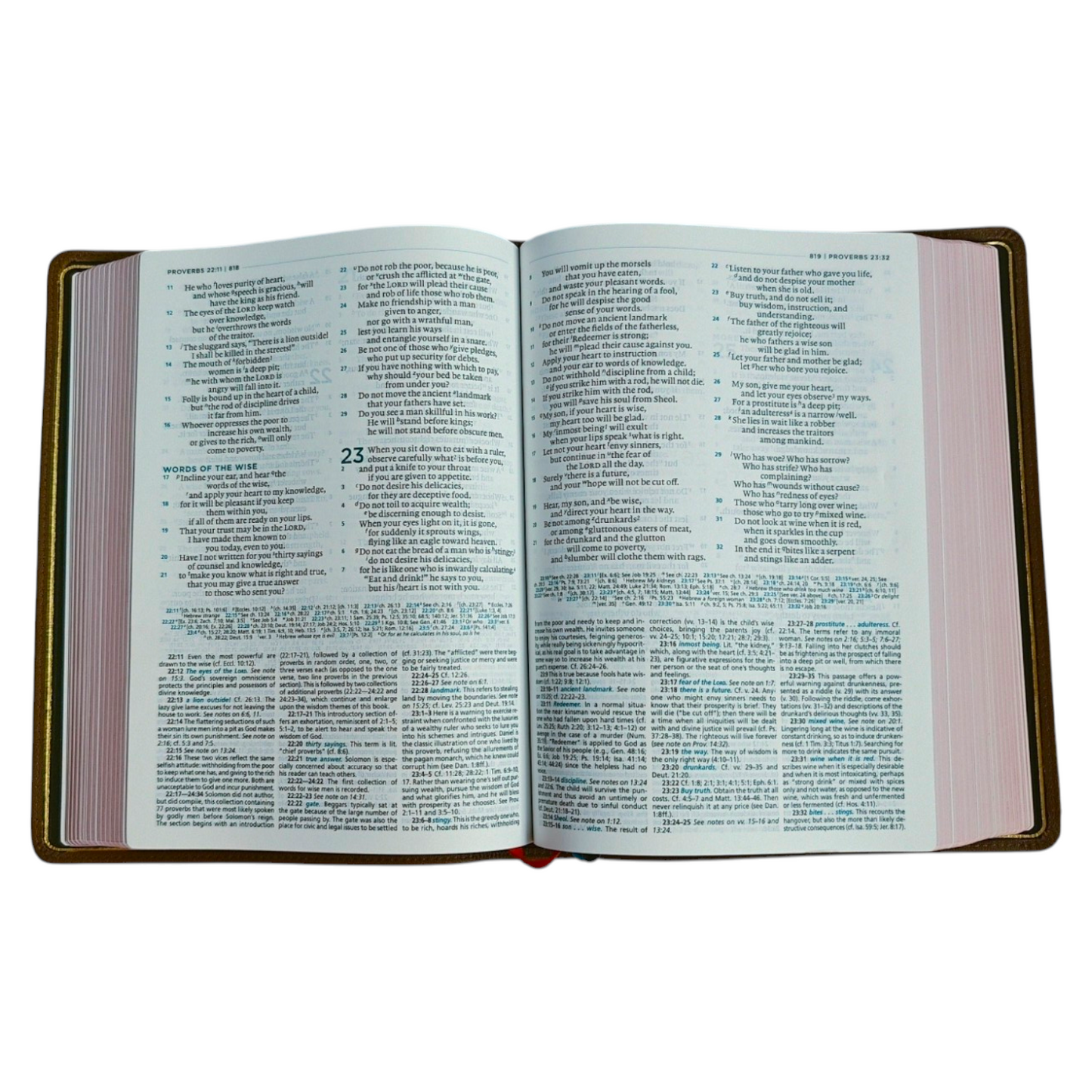 The MacArthur Study Bible, Second Edition (ESV) – Premier Collection, Brown Goatskin Leather