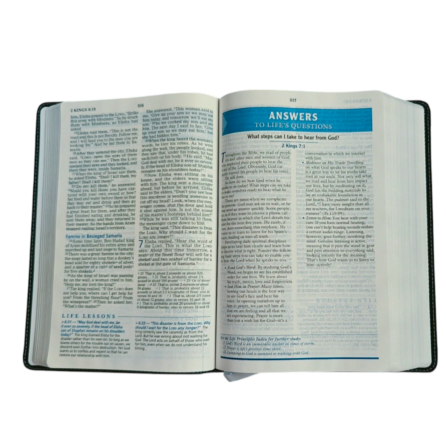NIV Charles F. Stanley Life Principles Bible – Large Print, Charcoal Leathersoft