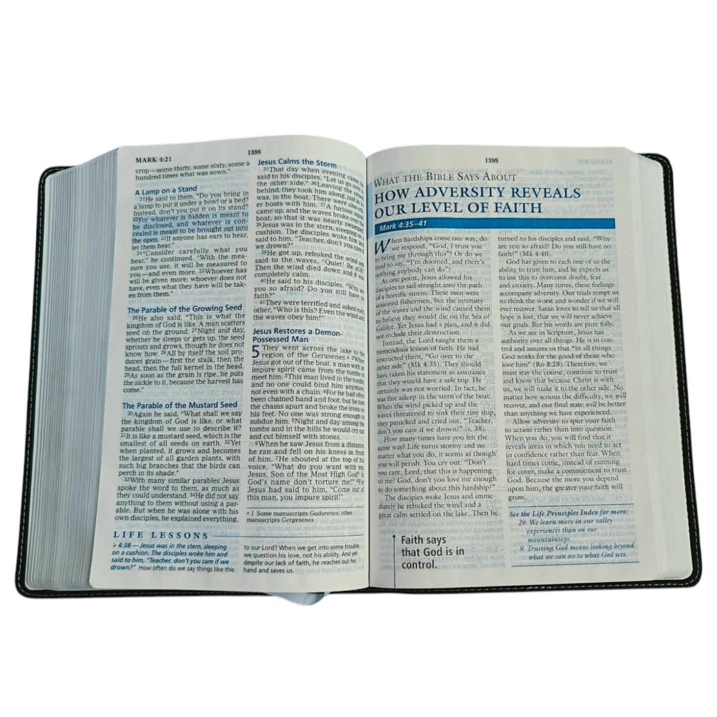 NIV Charles F. Stanley Life Principles Bible – Large Print, Charcoal Leathersoft