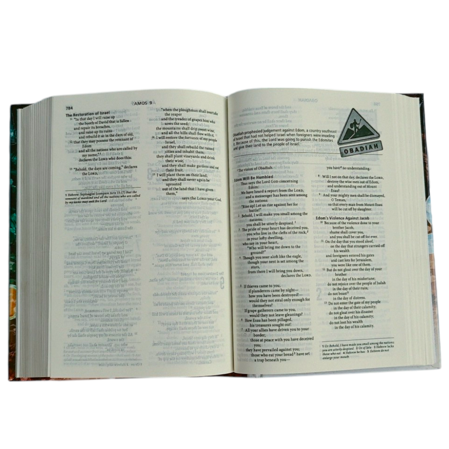 ESV Youth Bible – Hardcover