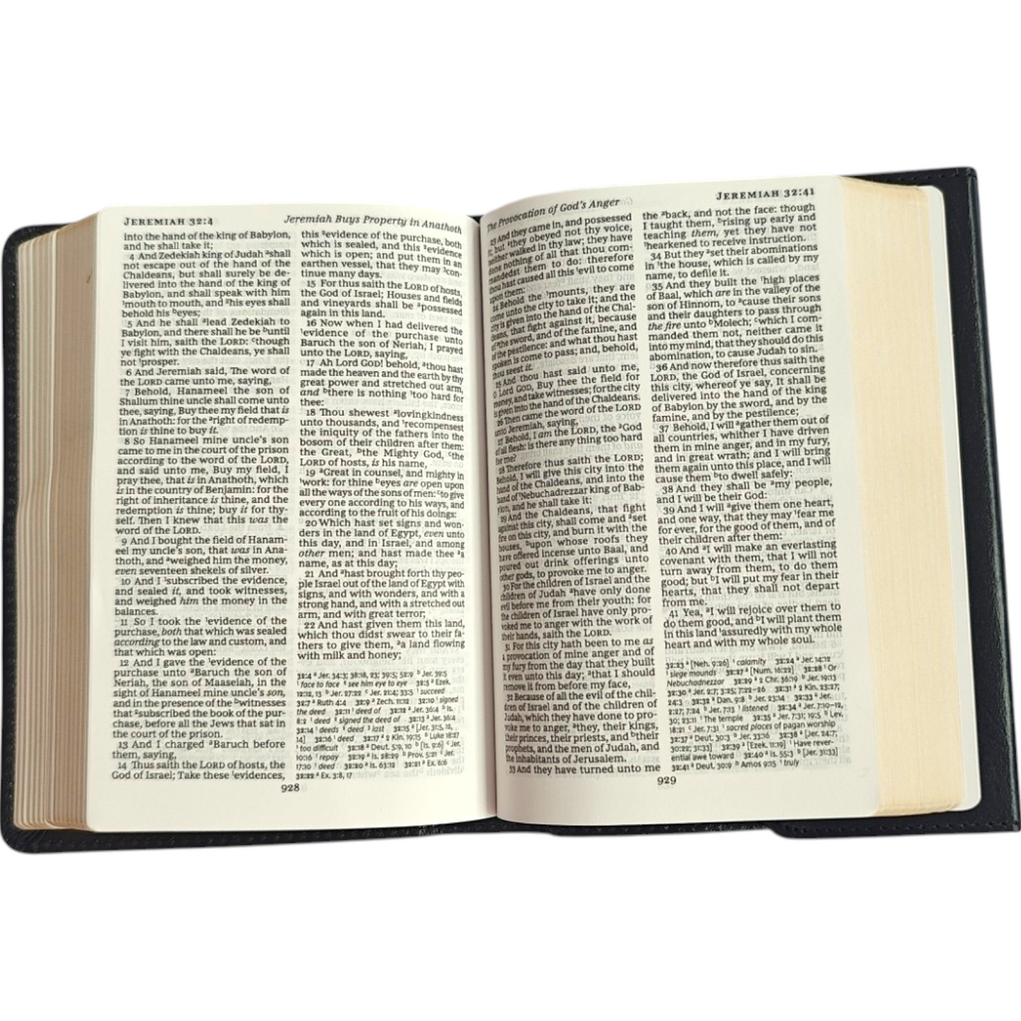 KJV Compact Reference Bible, Comfort Print – Black Leatherflex with Snap Closure (Thomas Nelson)