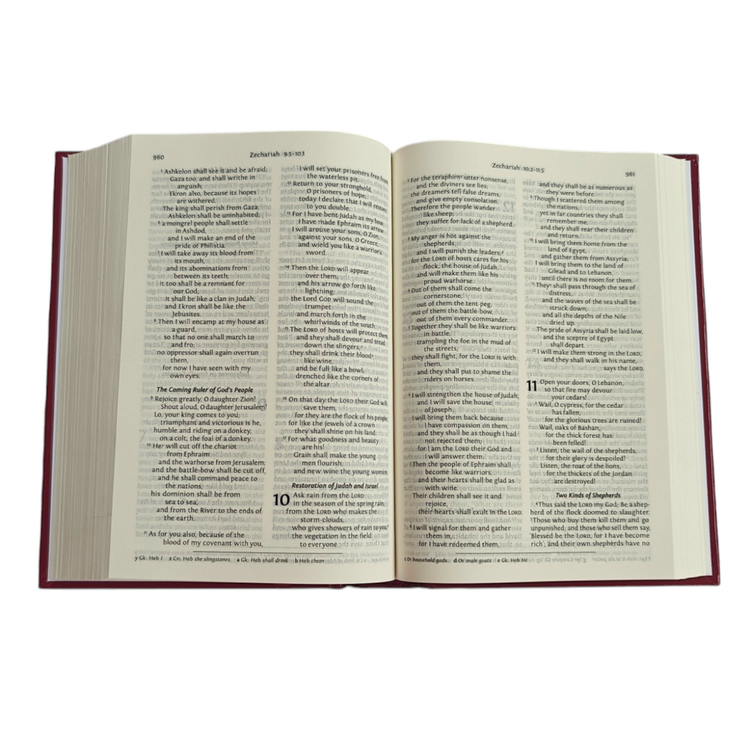 NRSV Holy Bible with Concordance – Hardcover, Anglicised Text (BSI / Bible Society of India)