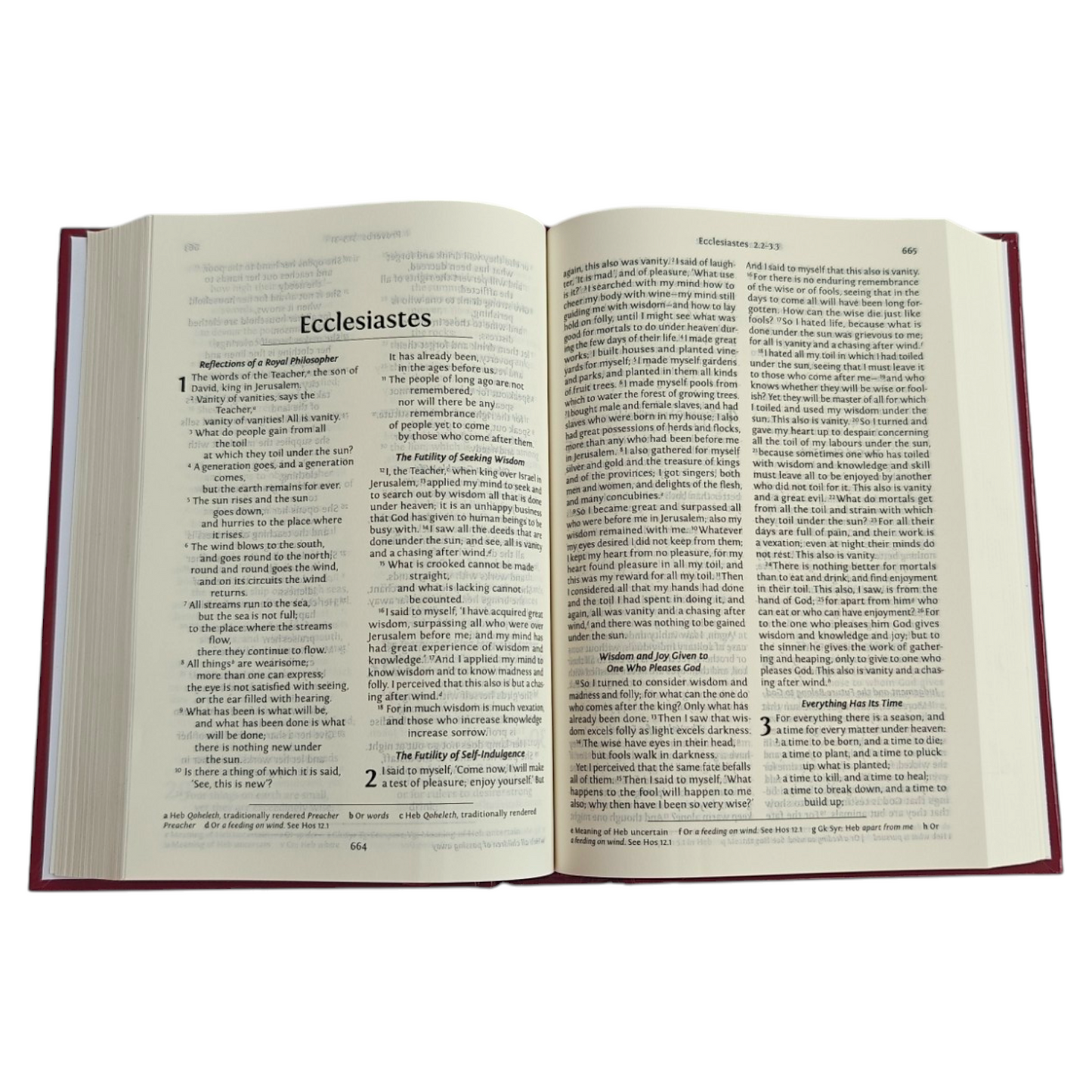 NRSV Holy Bible with Concordance – Hardcover, Anglicised Text (BSI / Bible Society of India)