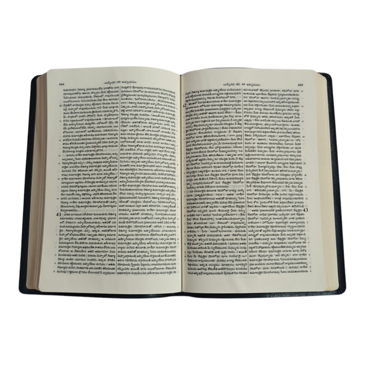 Telugu Holy Bible (Royal Size) – పరిశుద్ధ గ్రంథము, Black Leatherette with Gilded Edges (BSI)