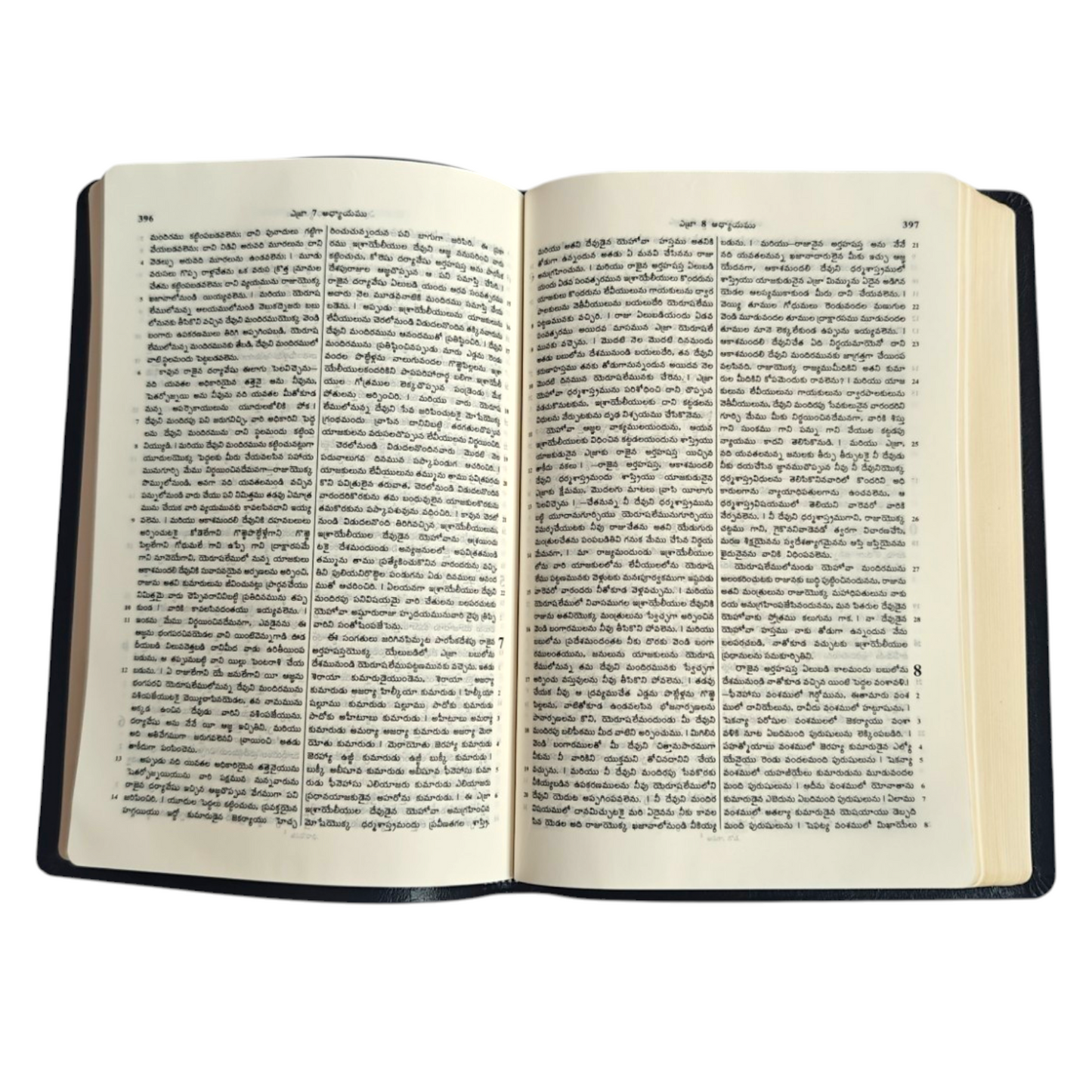 Telugu Holy Bible (Royal Size) – పరిశుద్ధ గ్రంథము, Black Leatherette with Gilded Edges (BSI)