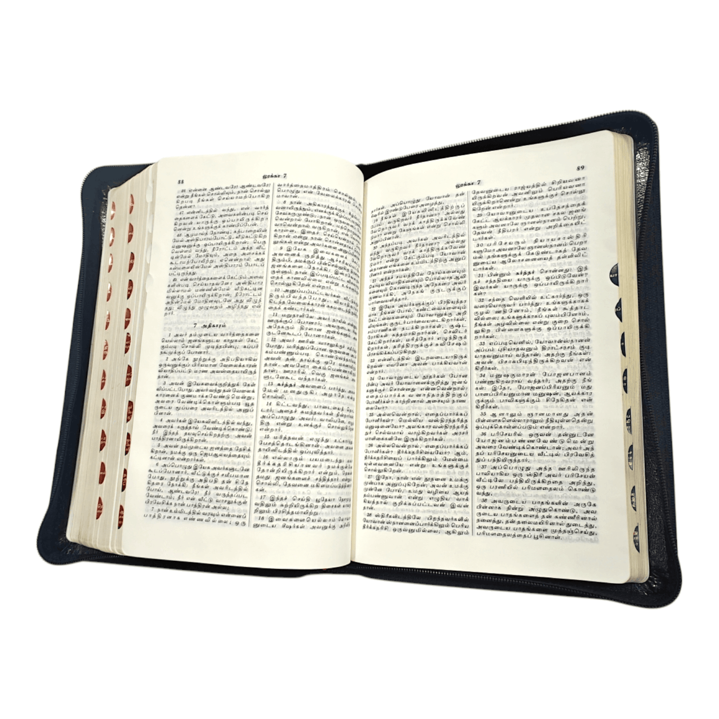 Tamil Bible OV 55, Korean Bible Index, Medium Size (Leather Binding, Tamil, Bible Society)