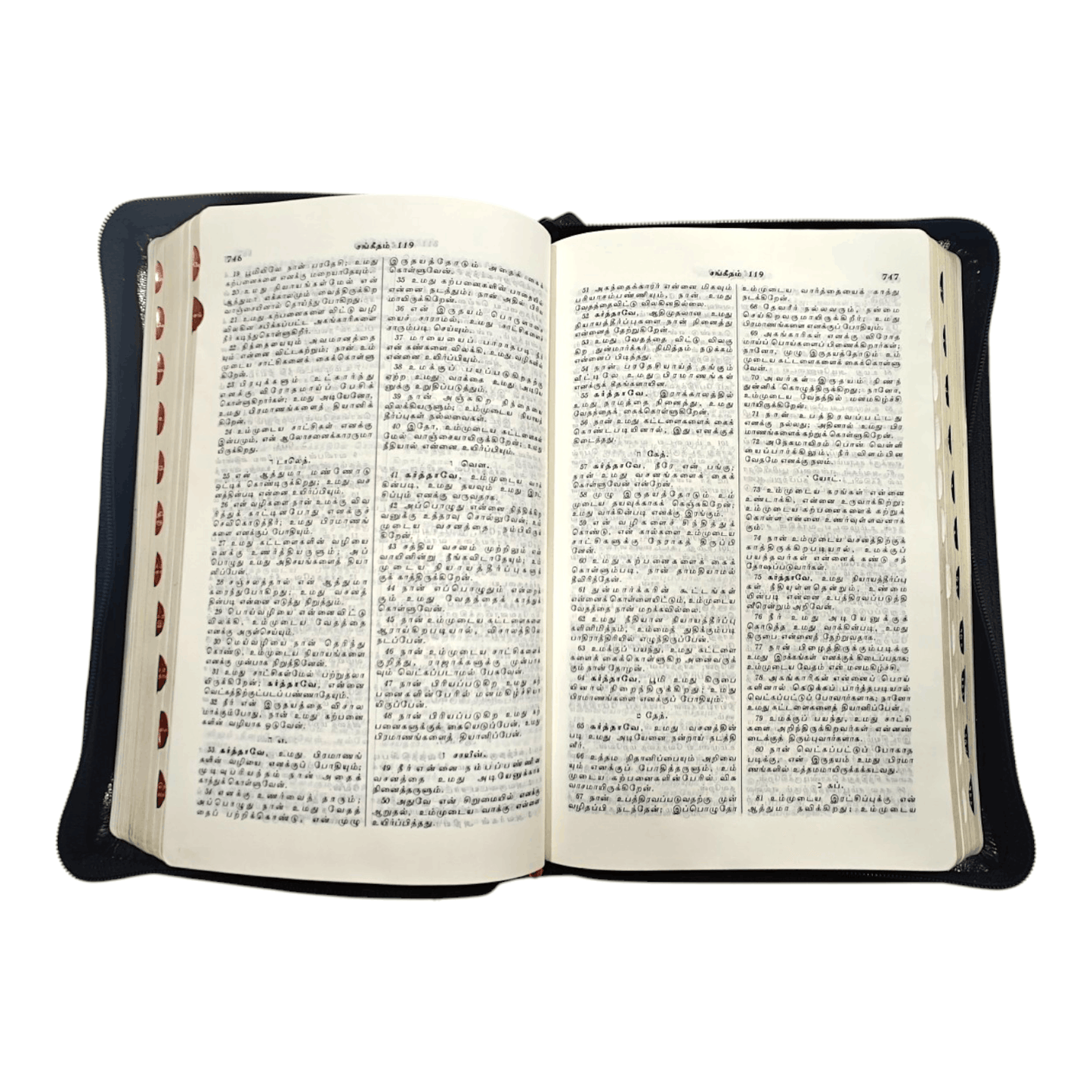 Tamil Bible OV 55, Korean Bible Index, Medium Size (Leather Binding, Tamil, Bible Society)