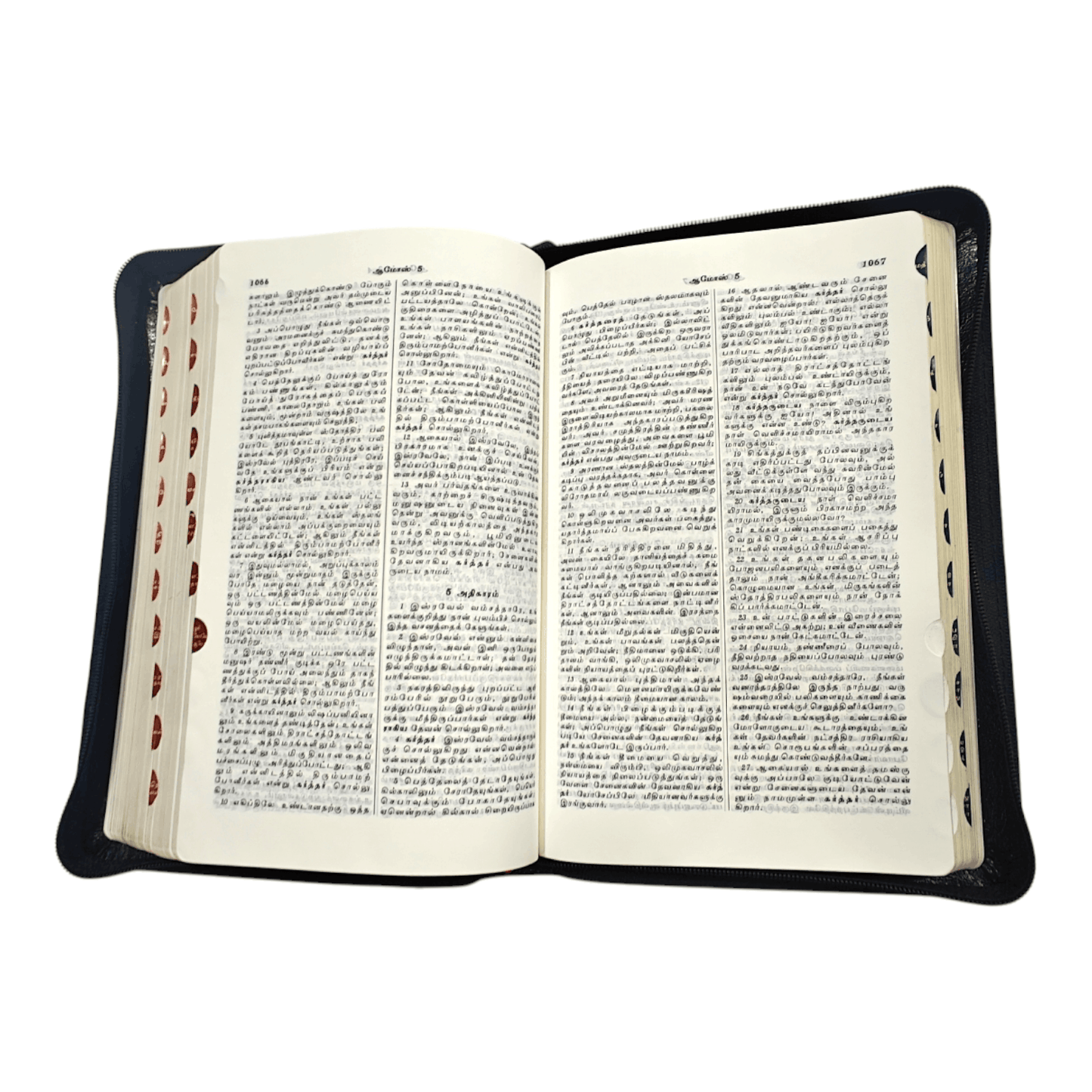Tamil Bible OV 55, Korean Bible Index, Medium Size (Leather Binding, Tamil, Bible Society)