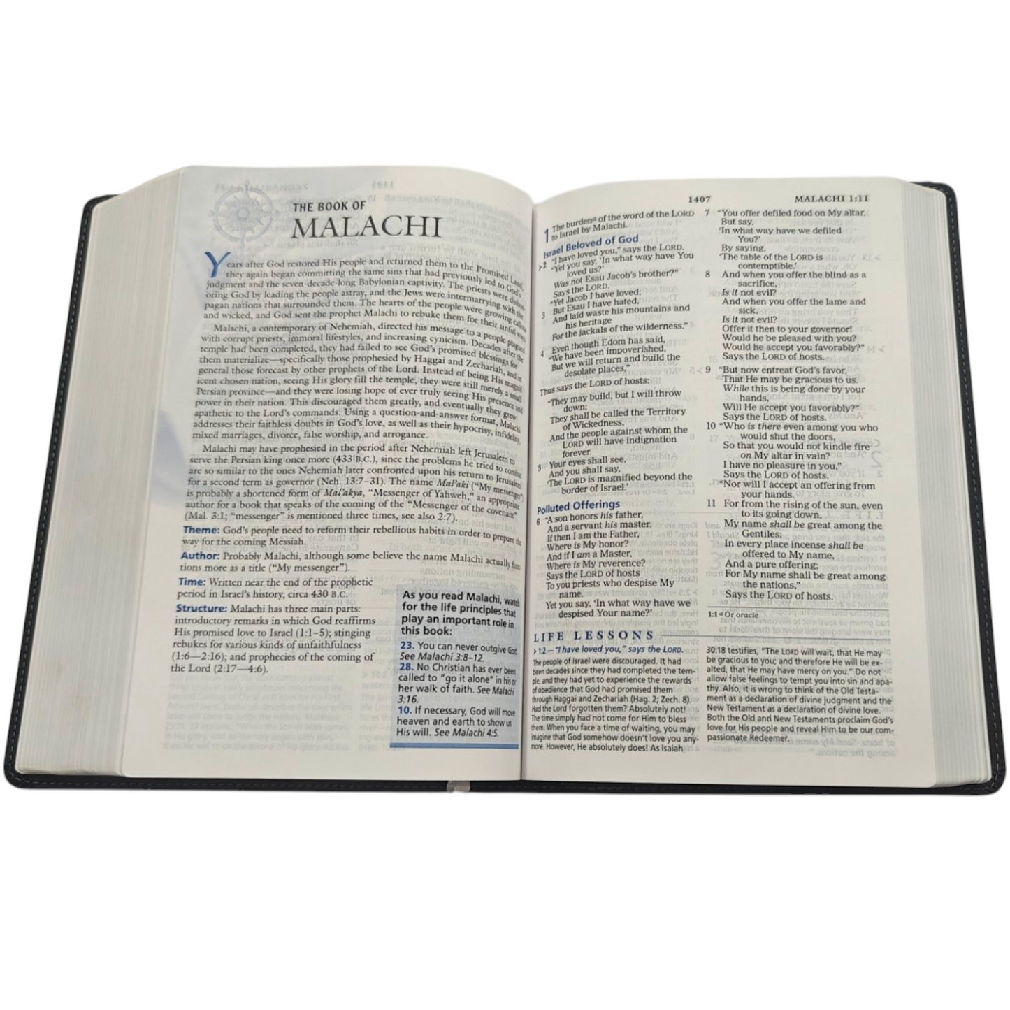 NKJV The Charles F. Stanley Life Principles Bible - Hardcover (New King James Version)