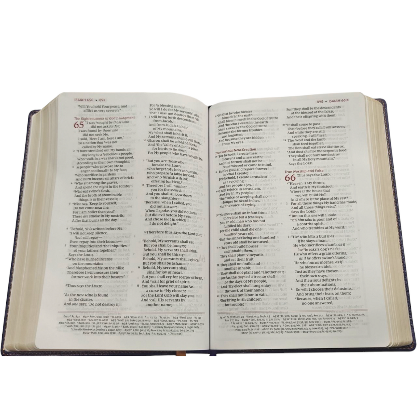 The Breathe Life Holy Bible: Faith in Action (NKJV, Hardcover, Red Letter, Comfort Print)