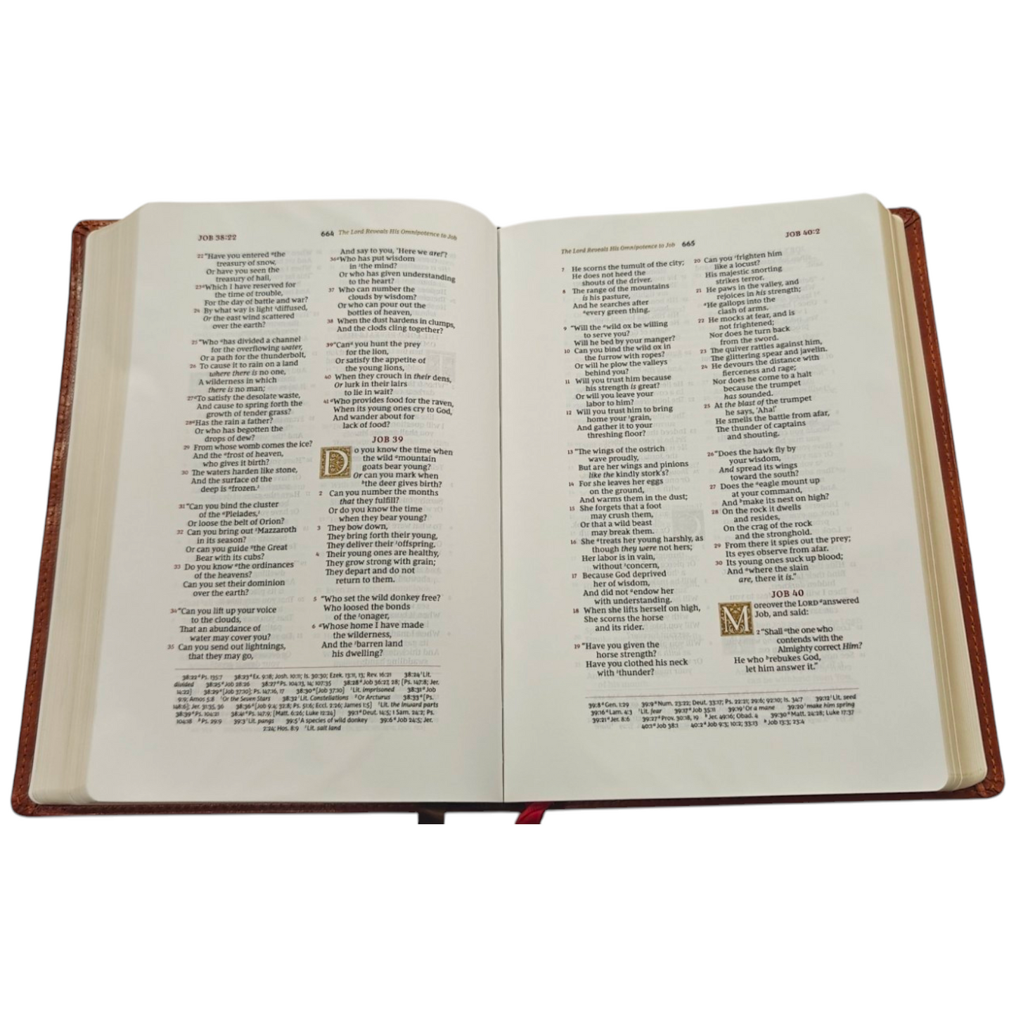 NKJV, Single-Column Wide-Margin Reference Bible, Cloth over Board, Red Letter, Comfort Print: Holy Bible, New King James Version