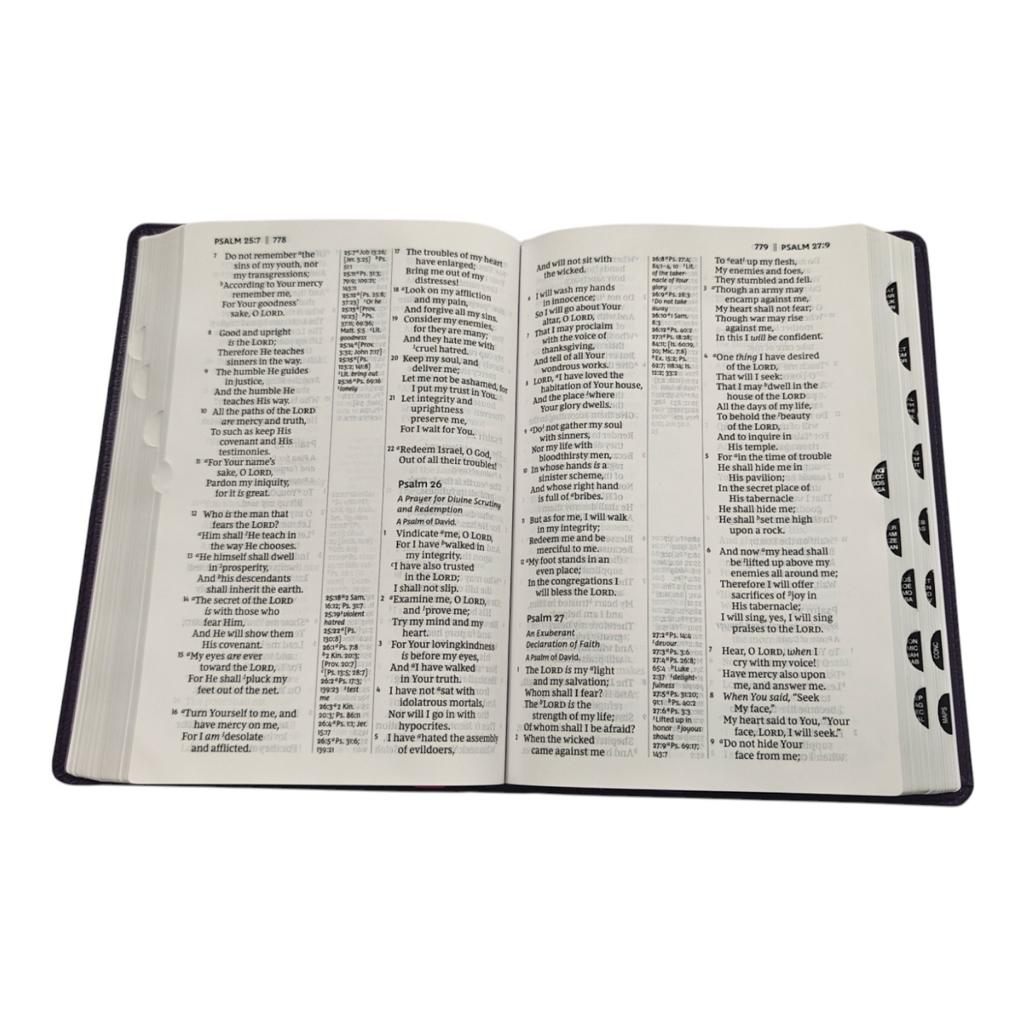 NKJV Giant Print Center-Column Reference Bible Verse Art Cover Collection Genuine Leather Purple Thumb Indexed Red Letter Comfort Print