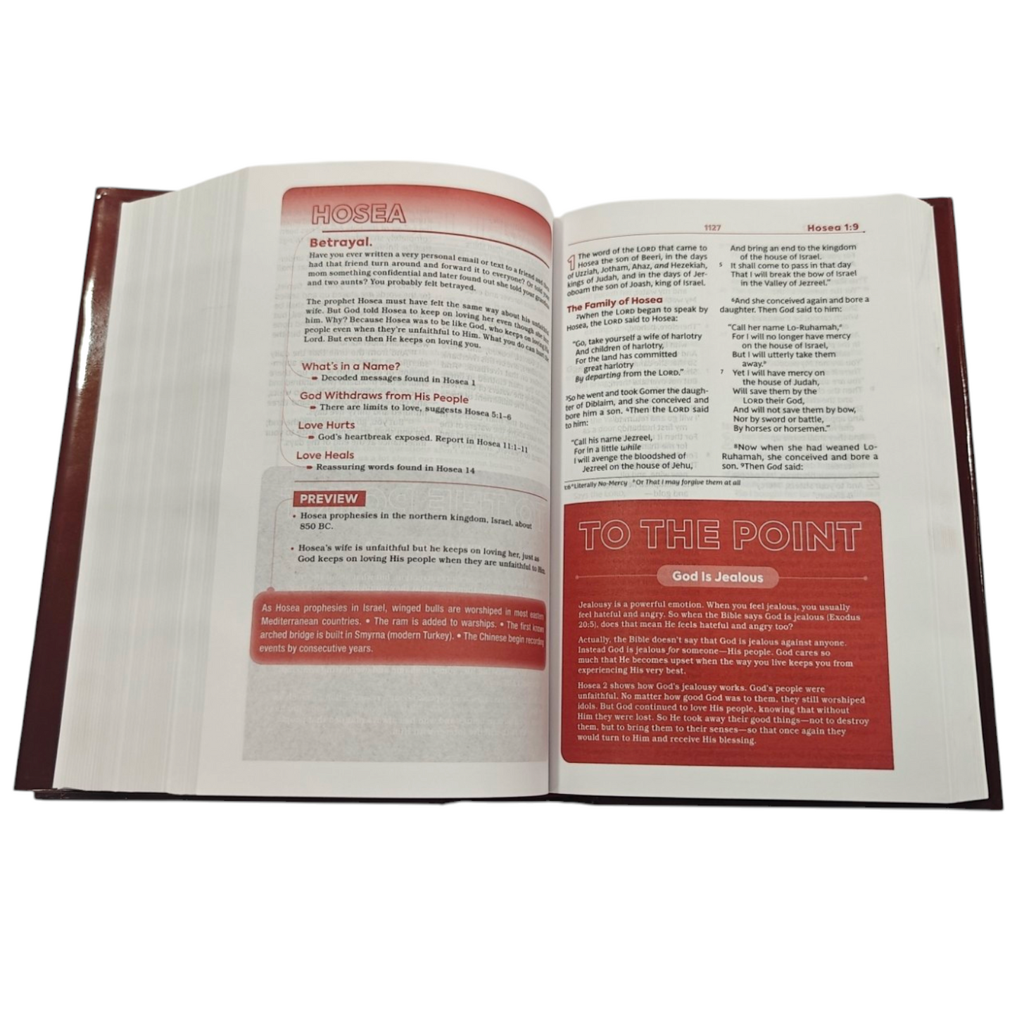 NKJV, Teen Study Bible, Hardcover, Comfort Print