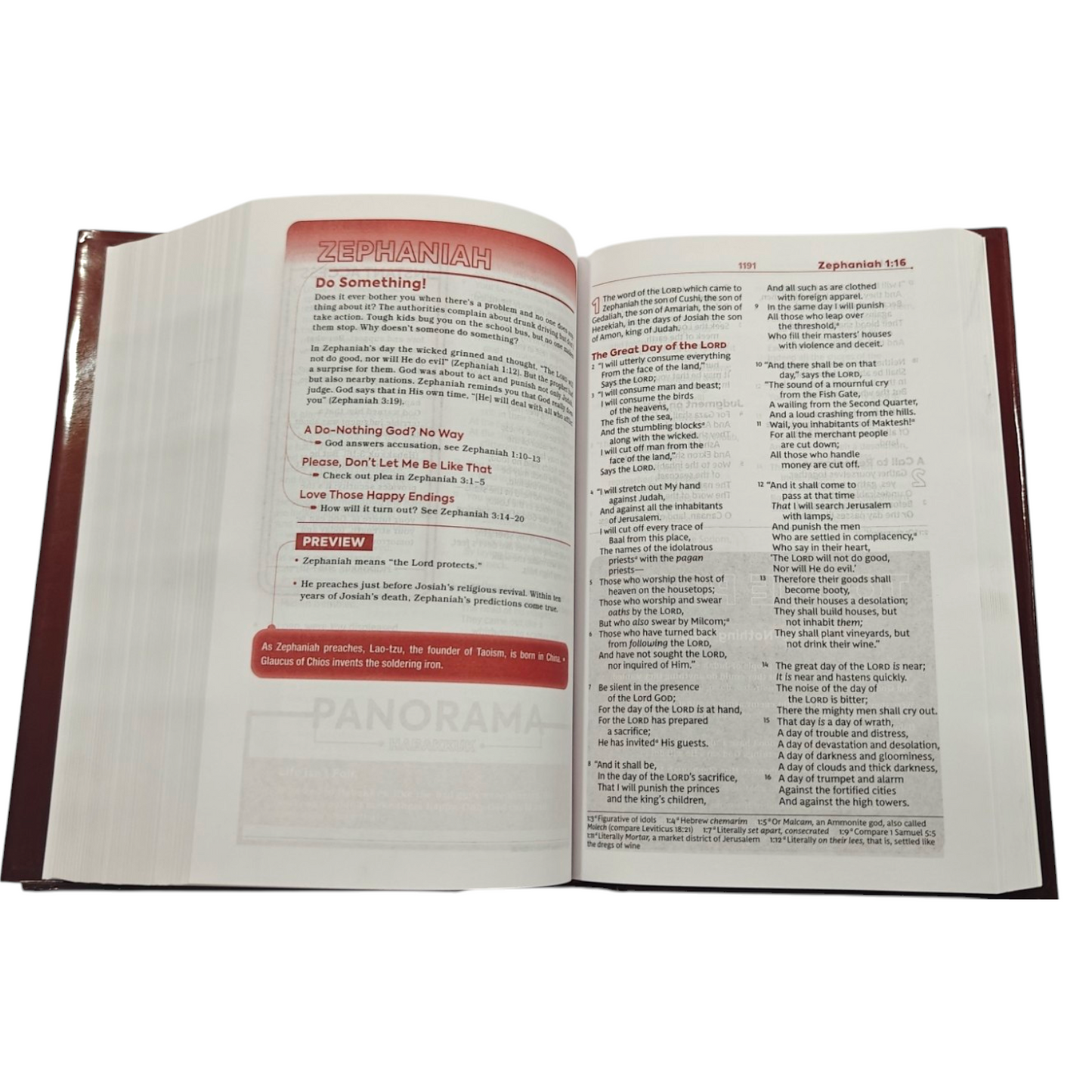 NKJV, Teen Study Bible, Hardcover, Comfort Print
