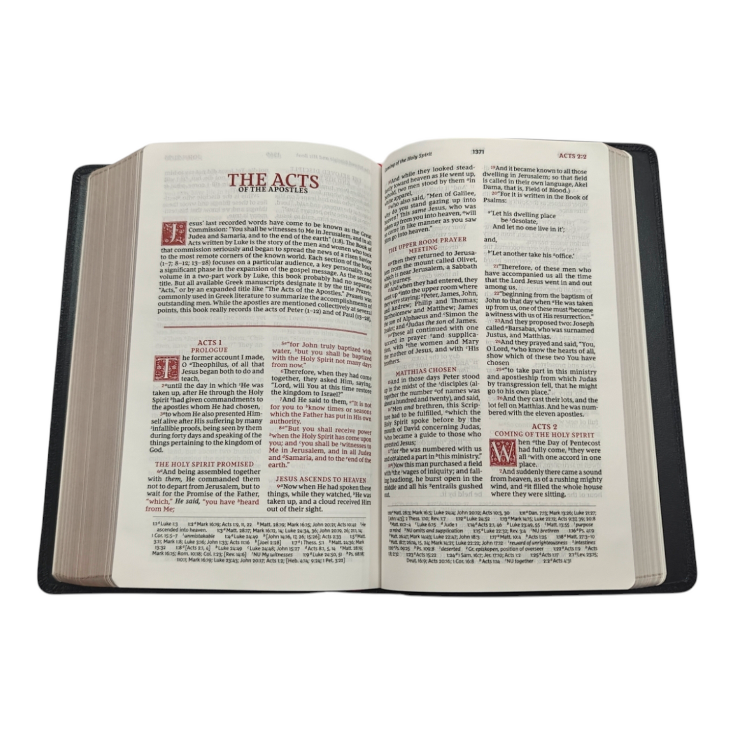 NKJV, Personal Size Reference Bible (Sovereign Collection, Thumb-Indexed, Brown)