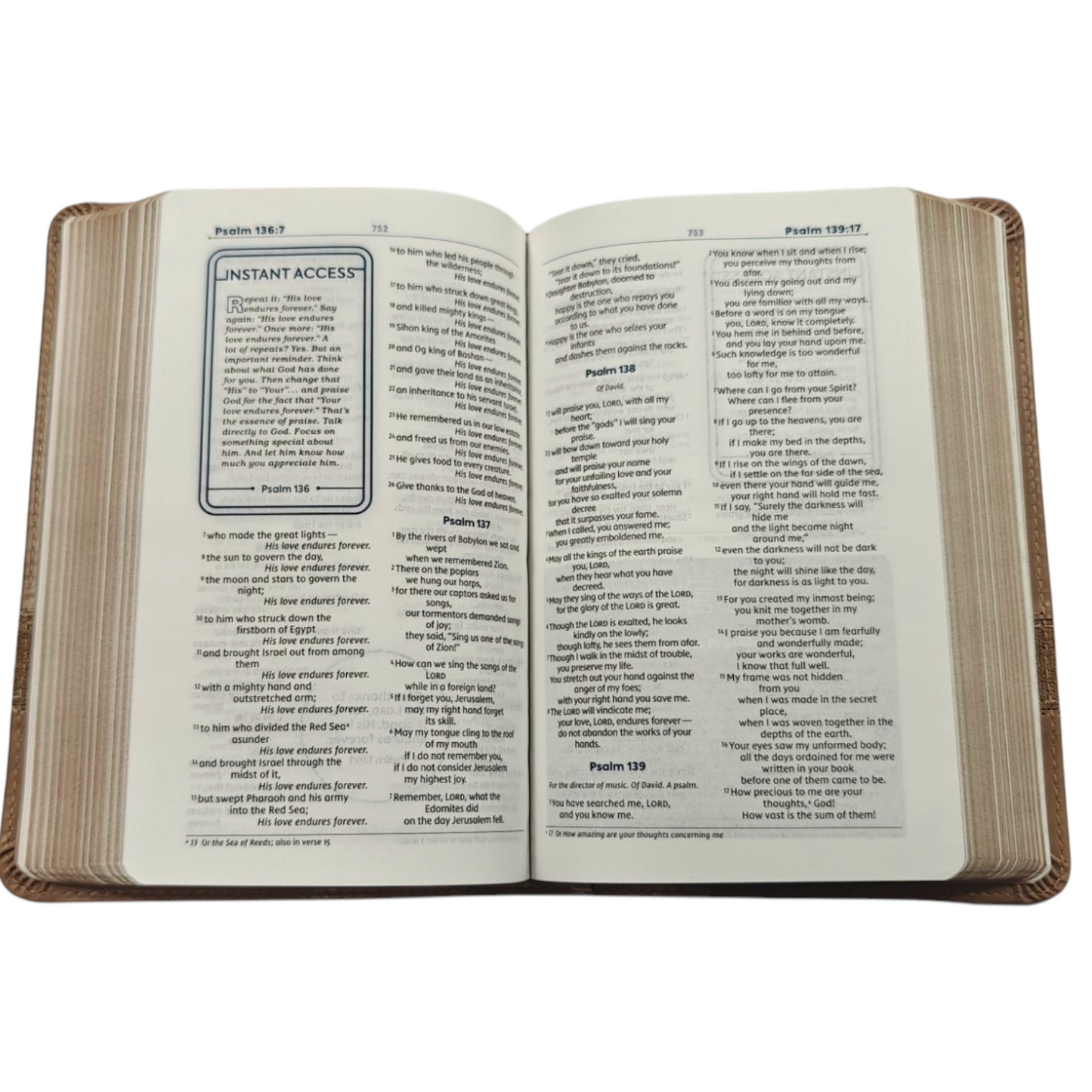NIV Teen Study Bible, Compact Size - Brown Leathersoft (New International Version)