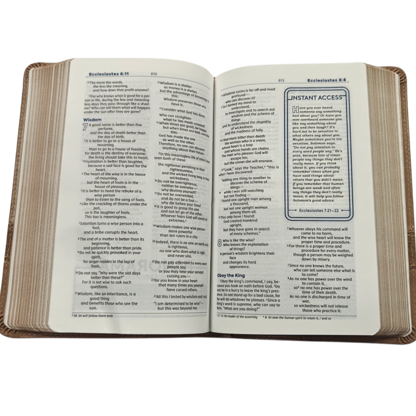 NIV Teen Study Bible, Compact Size - Brown Leathersoft (New International Version)