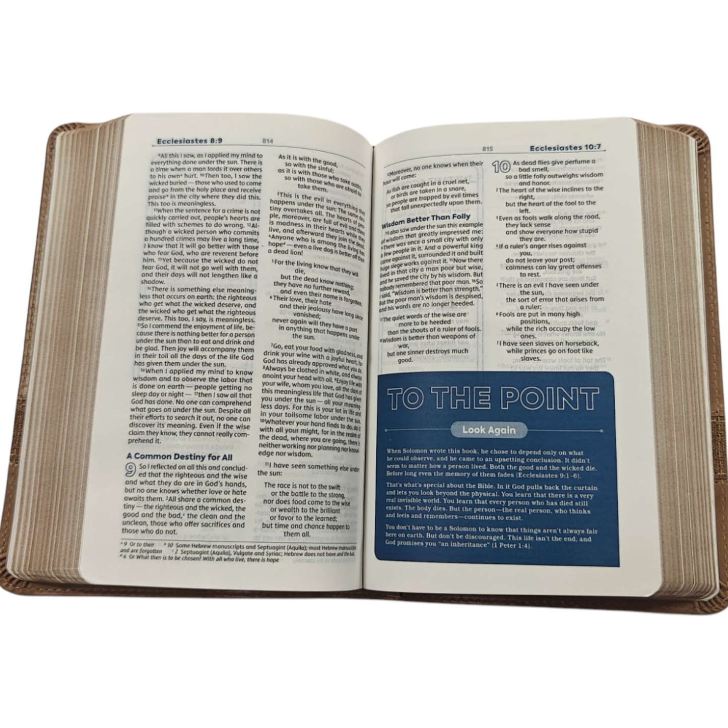 NIV Teen Study Bible, Compact Size - Brown Leathersoft (New International Version)
