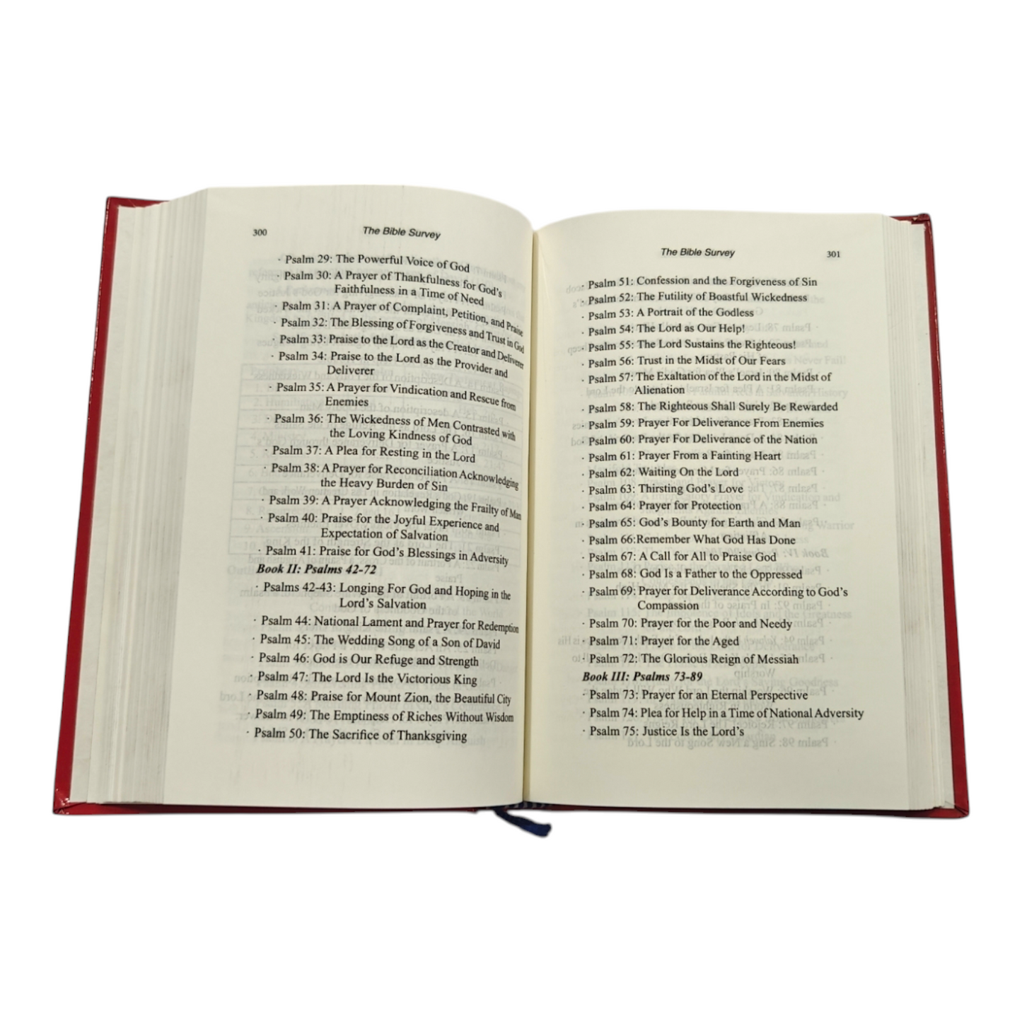The Bible Survey
