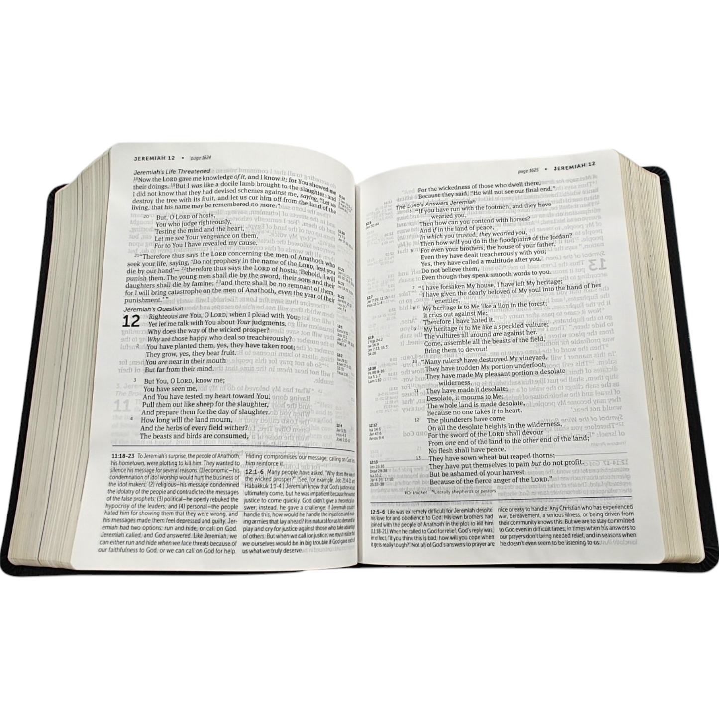 NKJV Life Application Study Bible, Third Edition, Large Print