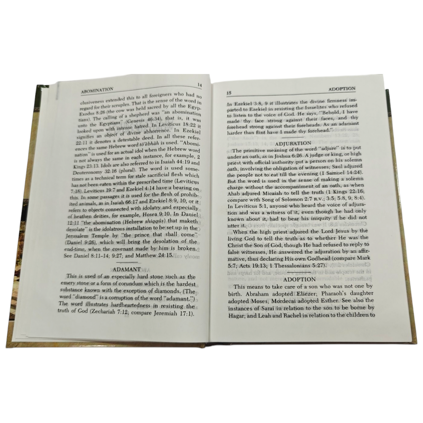 Vine's Expository Dictionary of the Old and New Testament Words by W. E. Vine