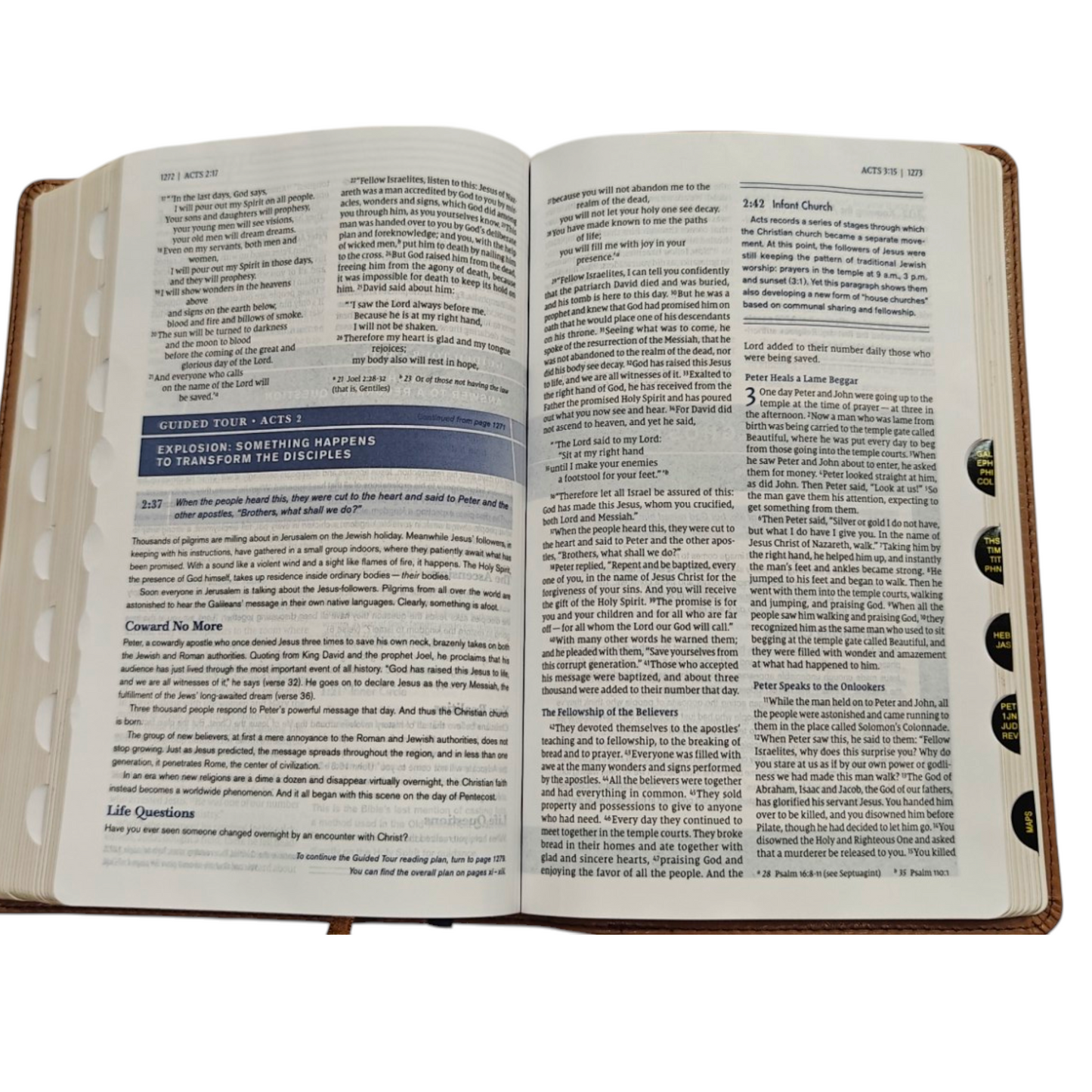 NIV, Student Bible, Personal Size, Leathersoft, Navy, Thumb Indexed, Comfort Print
