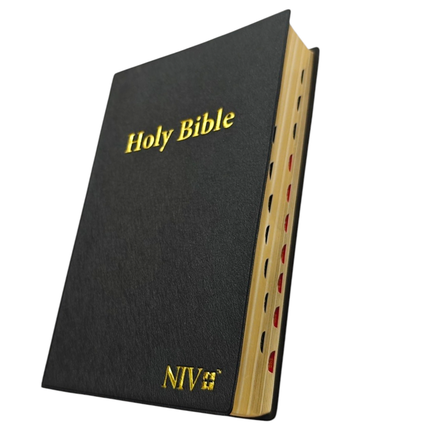 NIV Giant Print Bible, Thumb Index, Gold Gilt Edges, Black