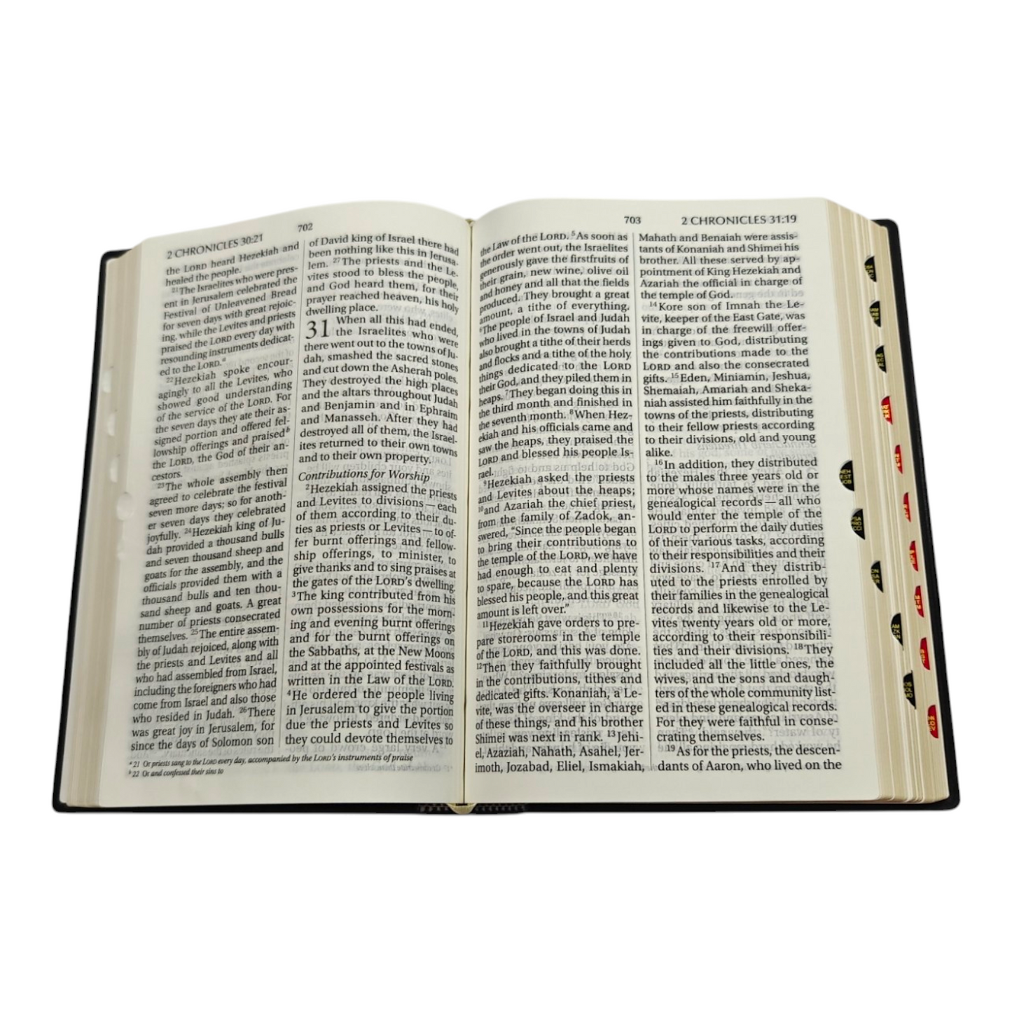 NIV Giant Print Bible, Thumb Index, Gold Gilt Edges, Black
