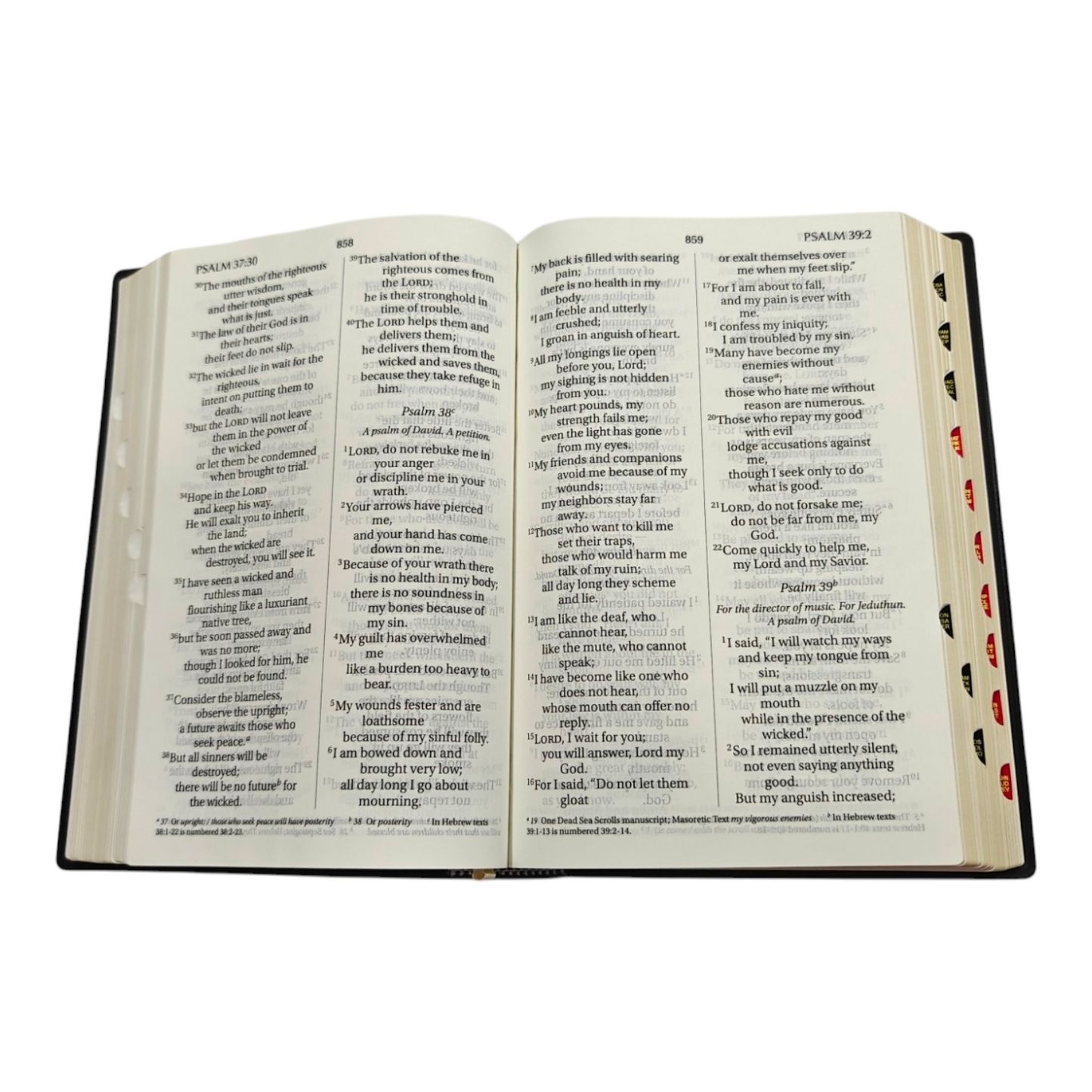 NIV Giant Print Bible, Thumb Index, Gold Gilt Edges, Black