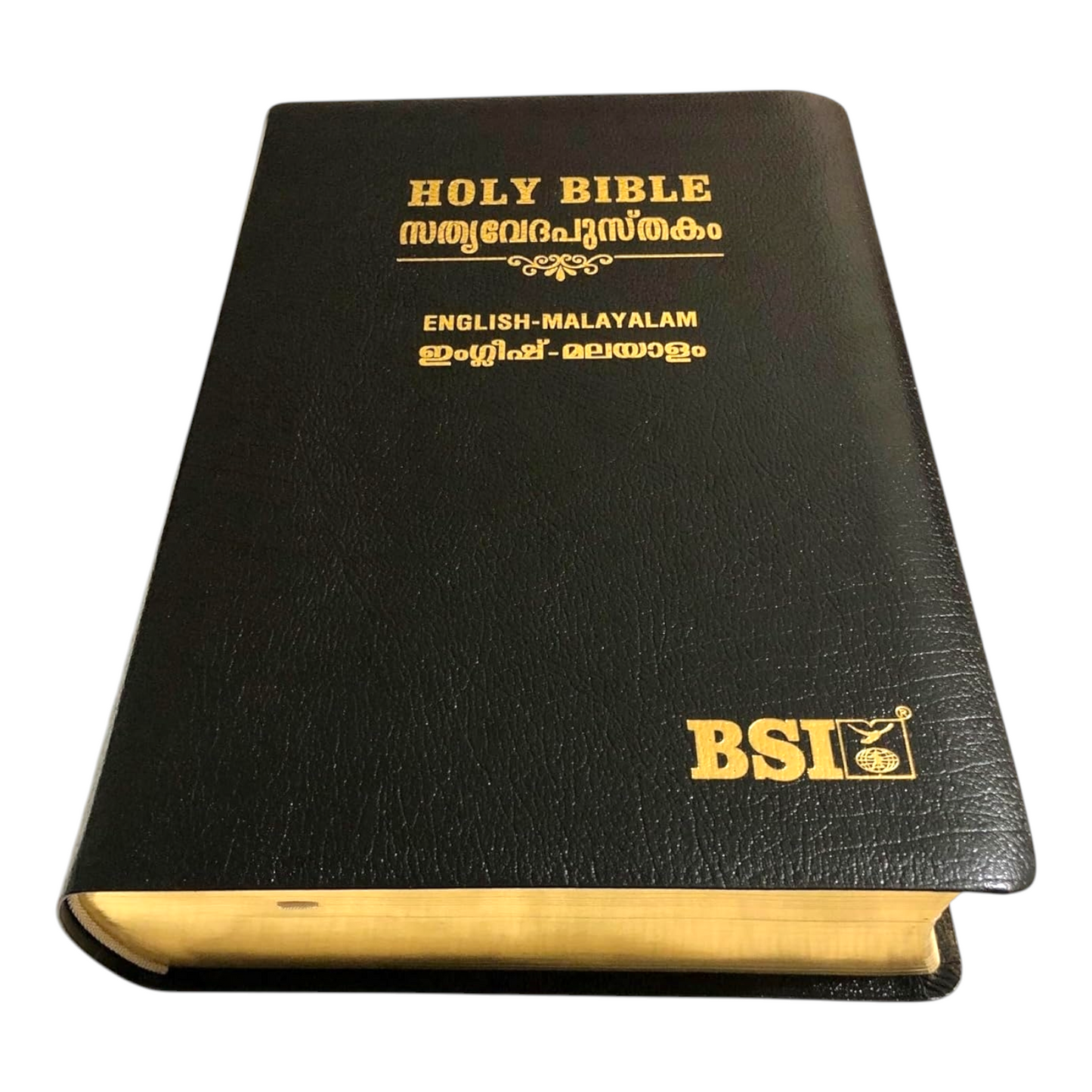 English - Malayalam Bilingual Bible (English Standard Version - Malayalam Original Version)
