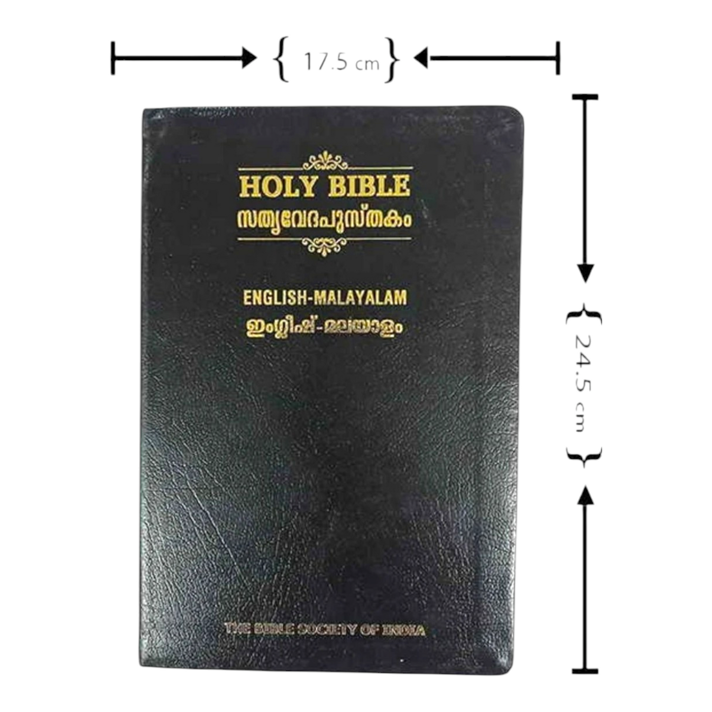 English - Malayalam Bilingual Bible (English Standard Version - Malayalam Original Version)