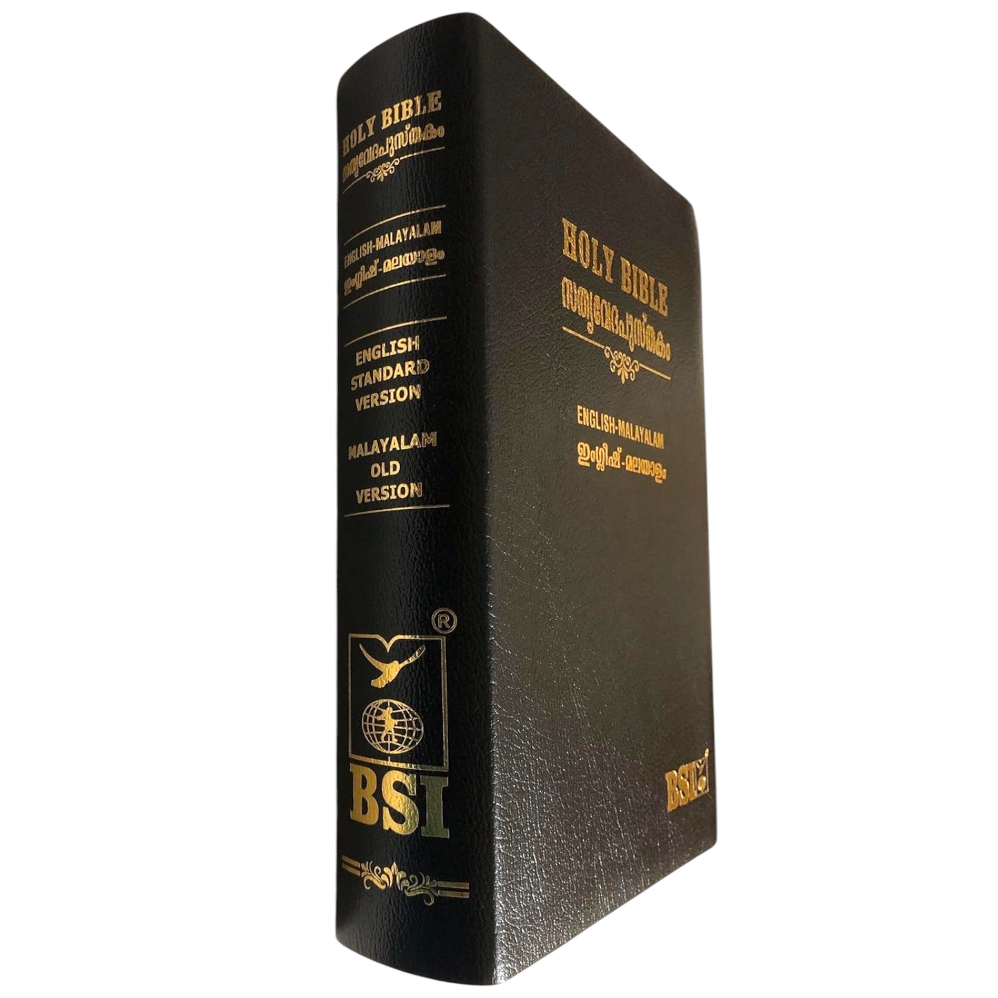 English - Malayalam Bilingual Bible (English Standard Version - Malayalam Original Version)