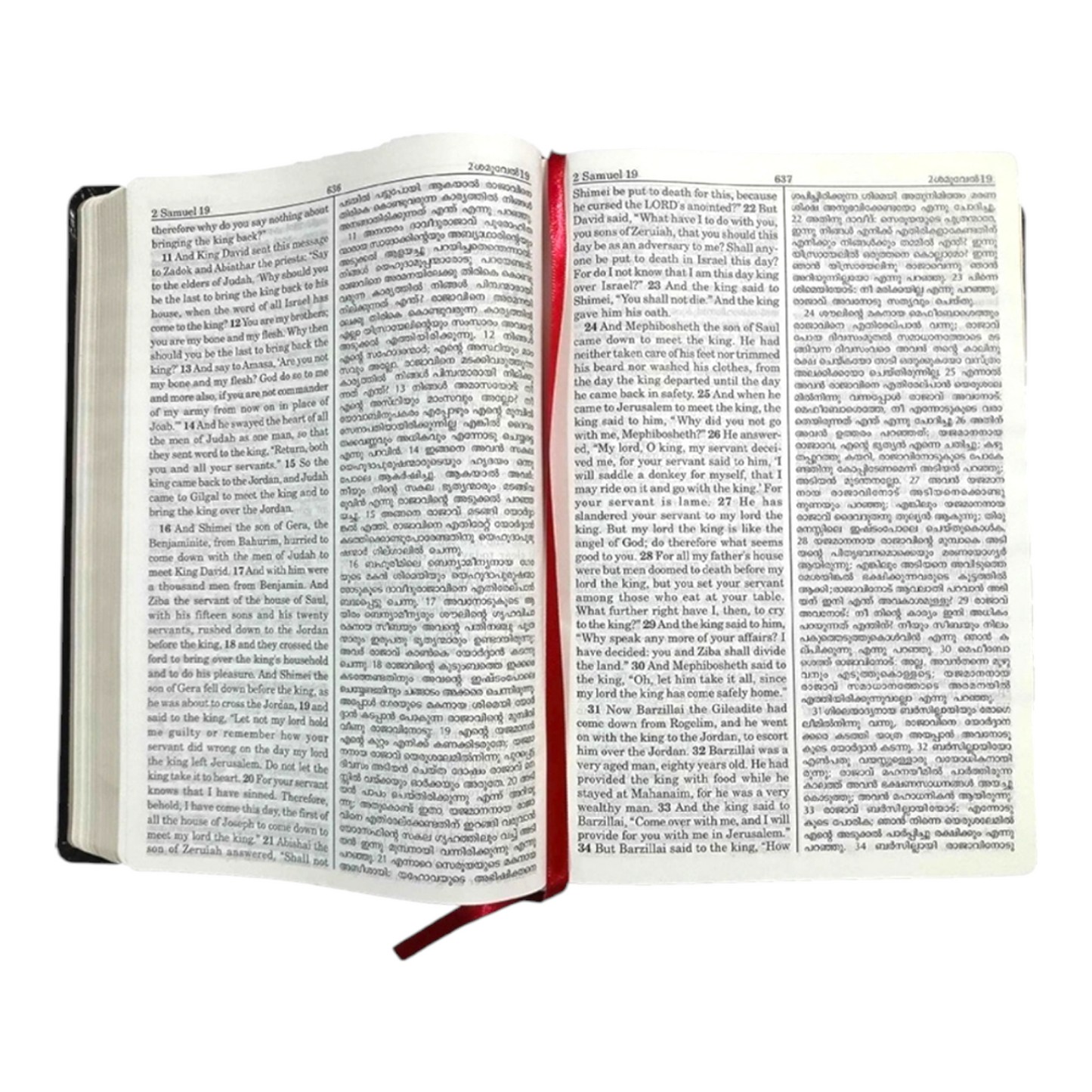 English - Malayalam Bilingual Bible (English Standard Version - Malayalam Original Version)