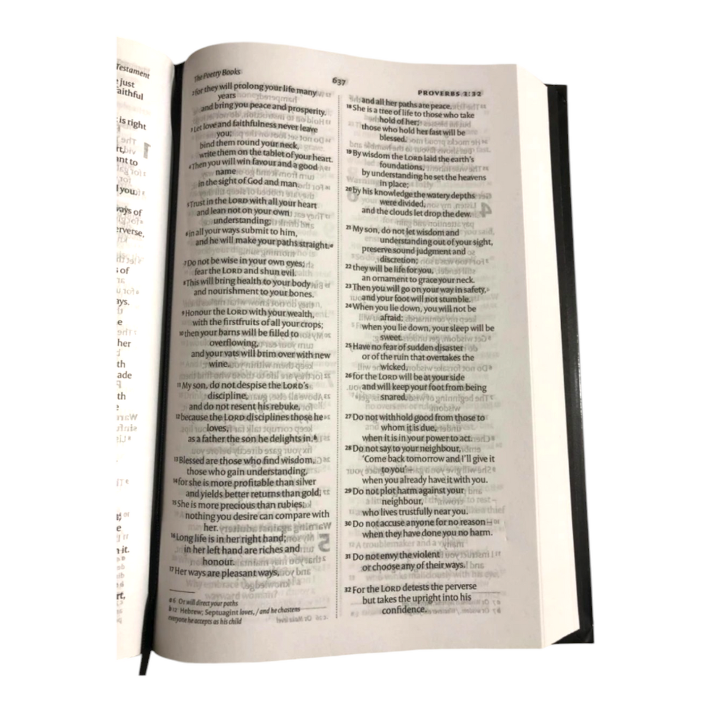 NIV Holy Bible Compact New International Version (Hardcover, BSI)