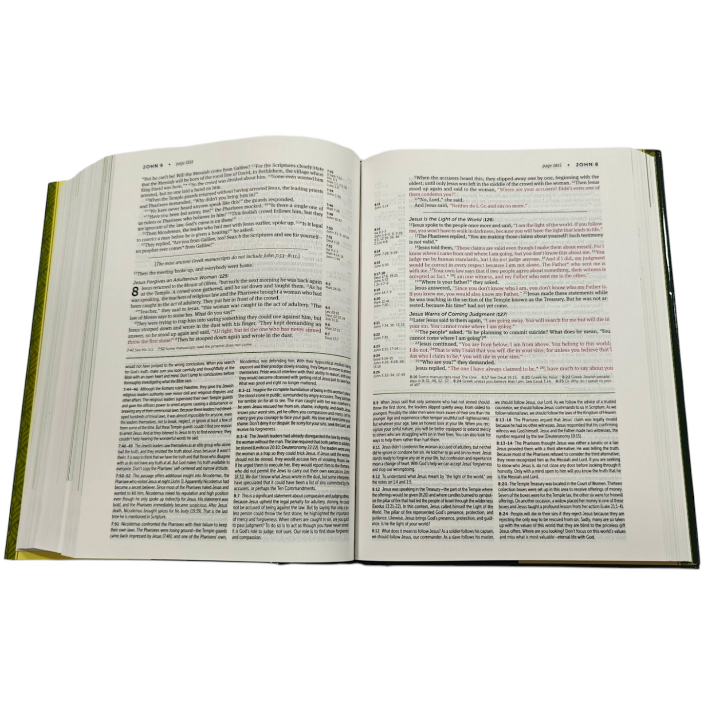NLT Life Application Study Bible