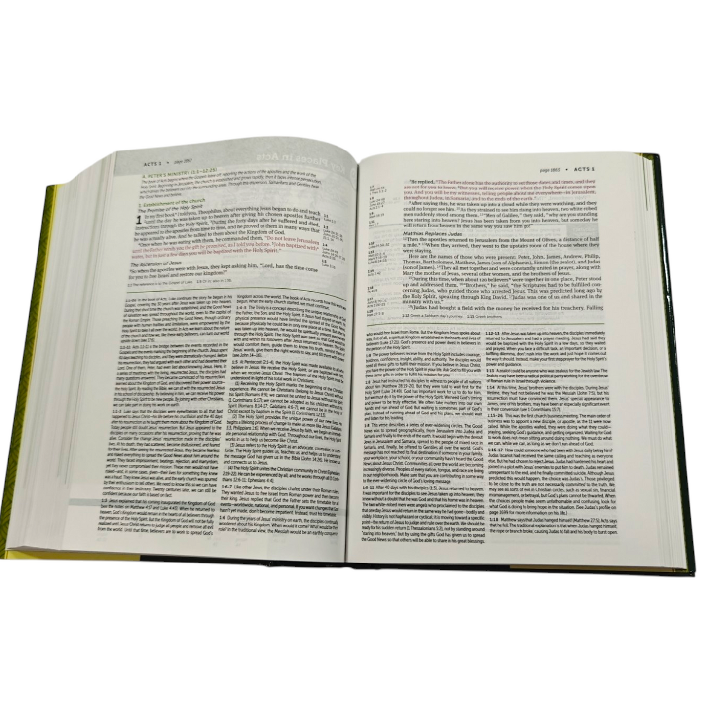 NLT Life Application Study Bible