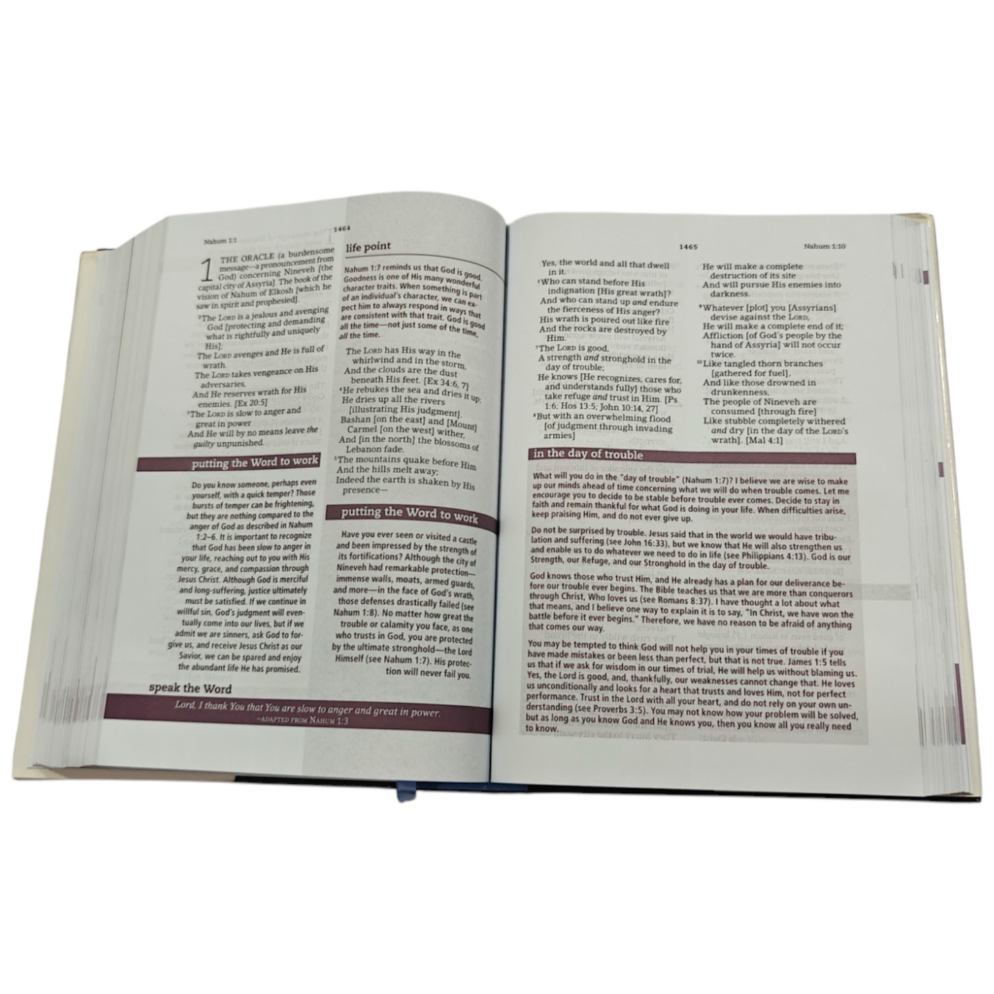The Everyday Life Bible