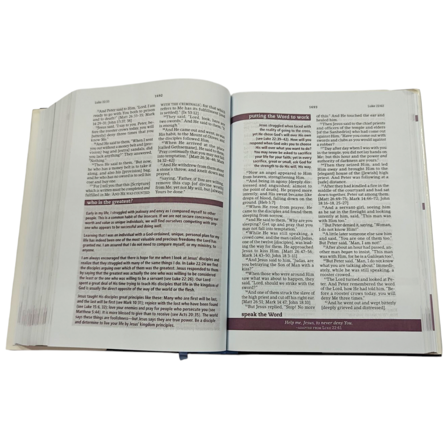 The Everyday Life Bible