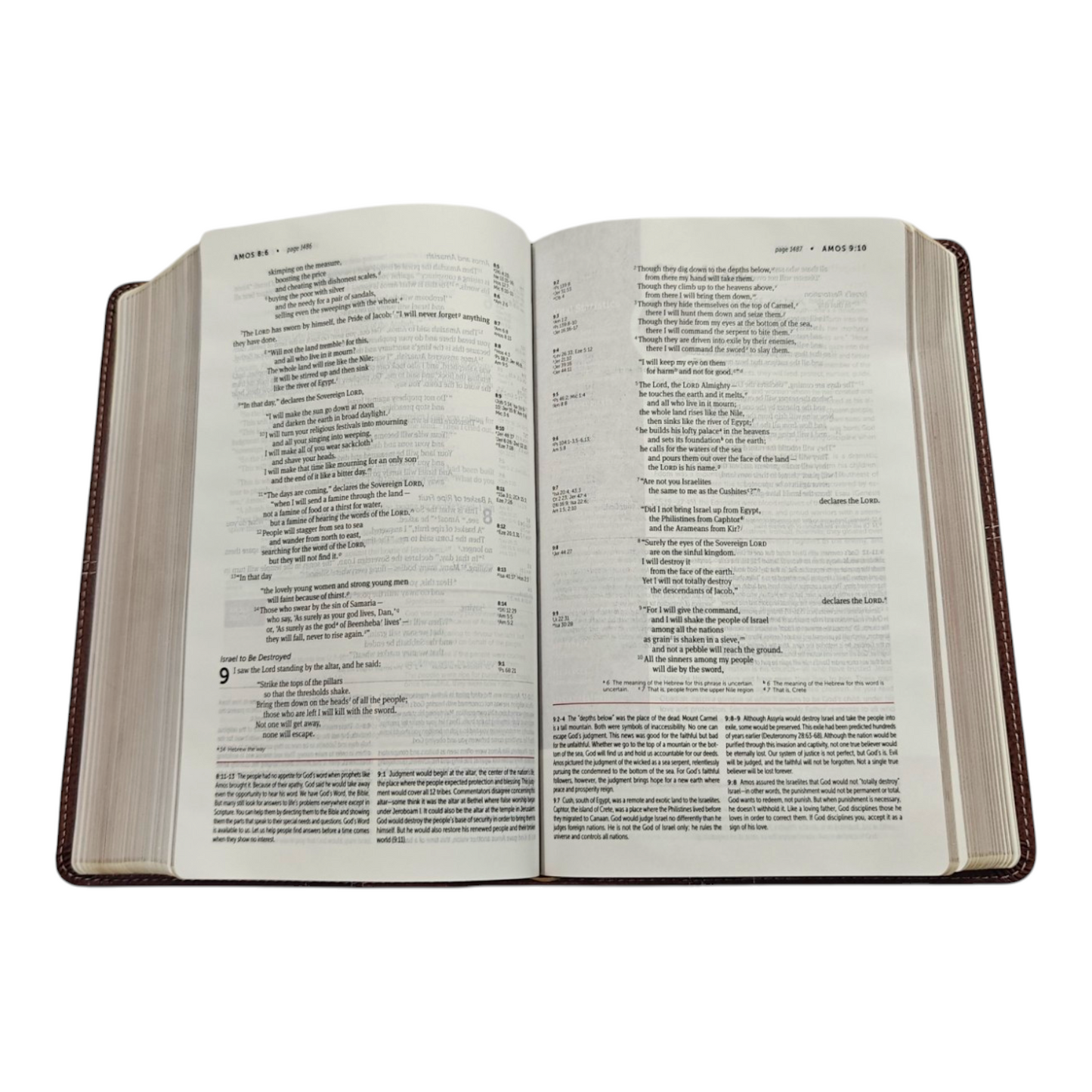 NIV Life Application Study Bible: Brown Leathersoft