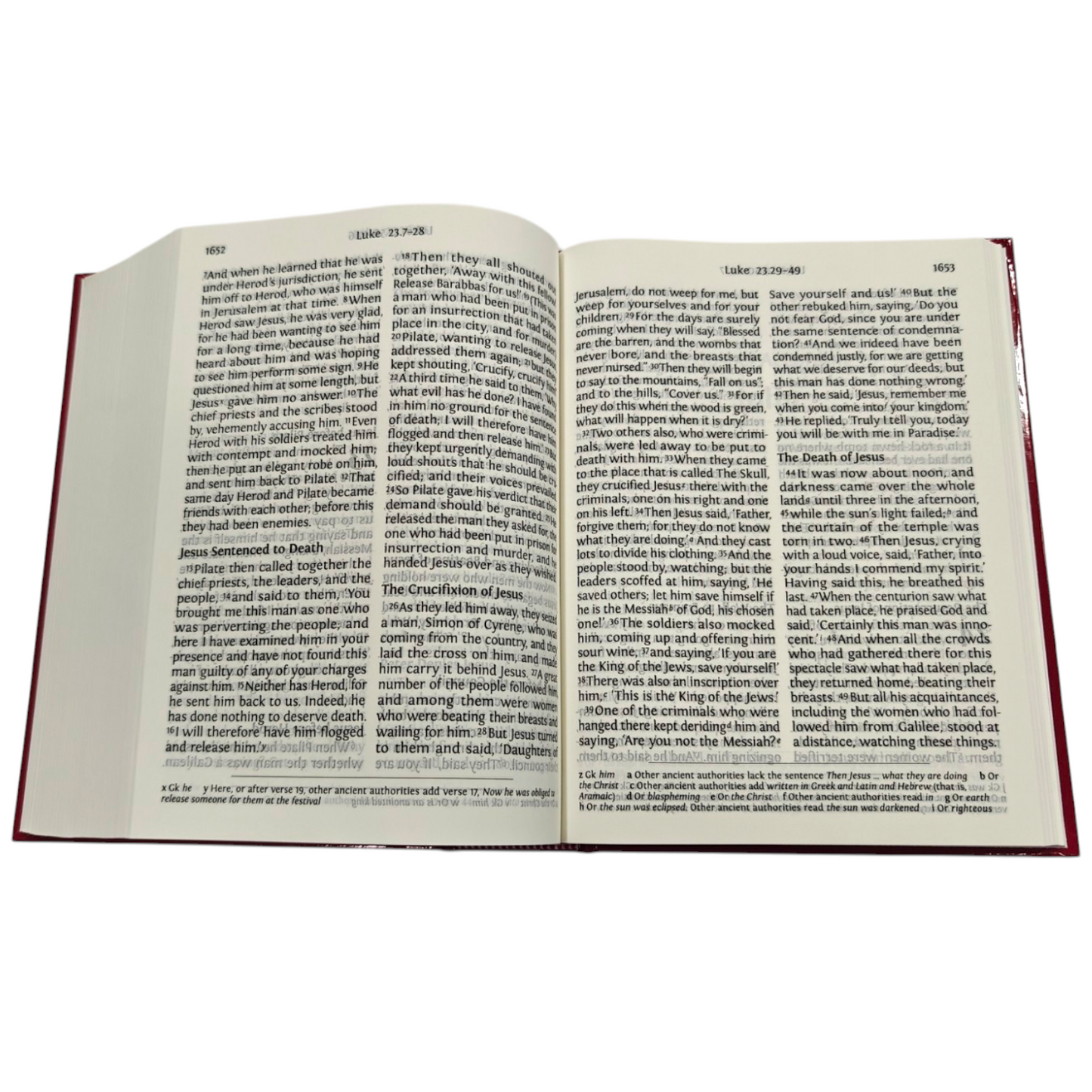 NRSV Large Print Bible
