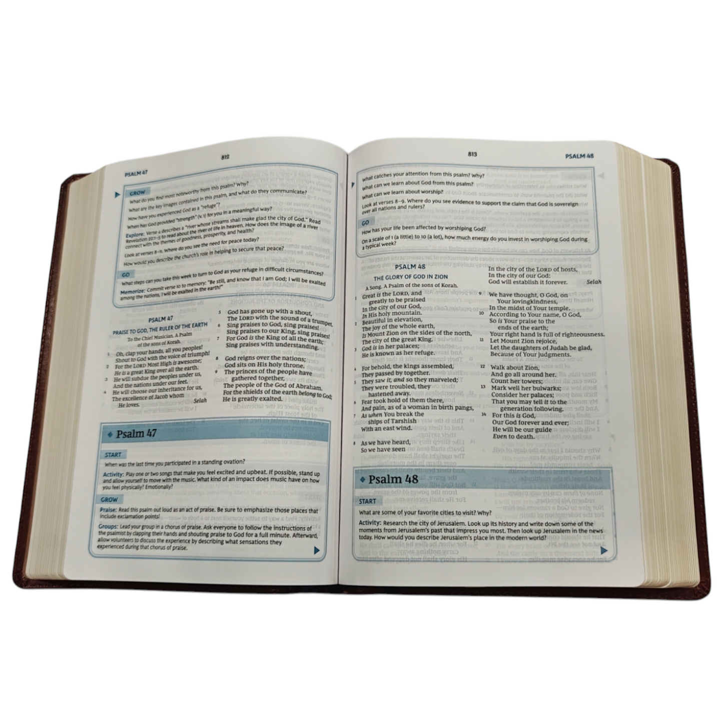 NKJV, The Bible Study Bible, Leathersoft, Brown, Comfort Print: A Study Guide for Every Chapter of the Bible