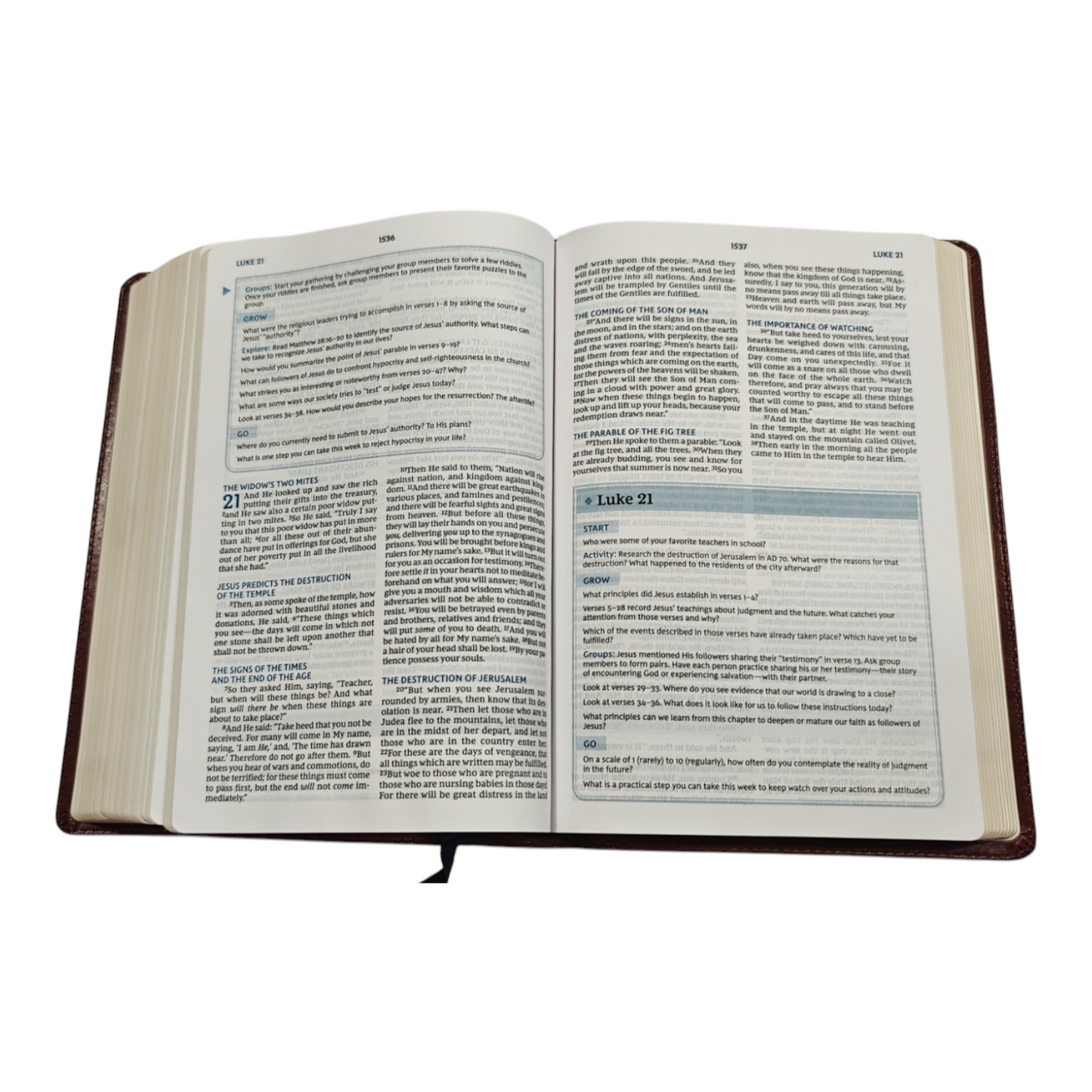 NKJV, The Bible Study Bible, Leathersoft, Brown, Comfort Print: A Study Guide for Every Chapter of the Bible