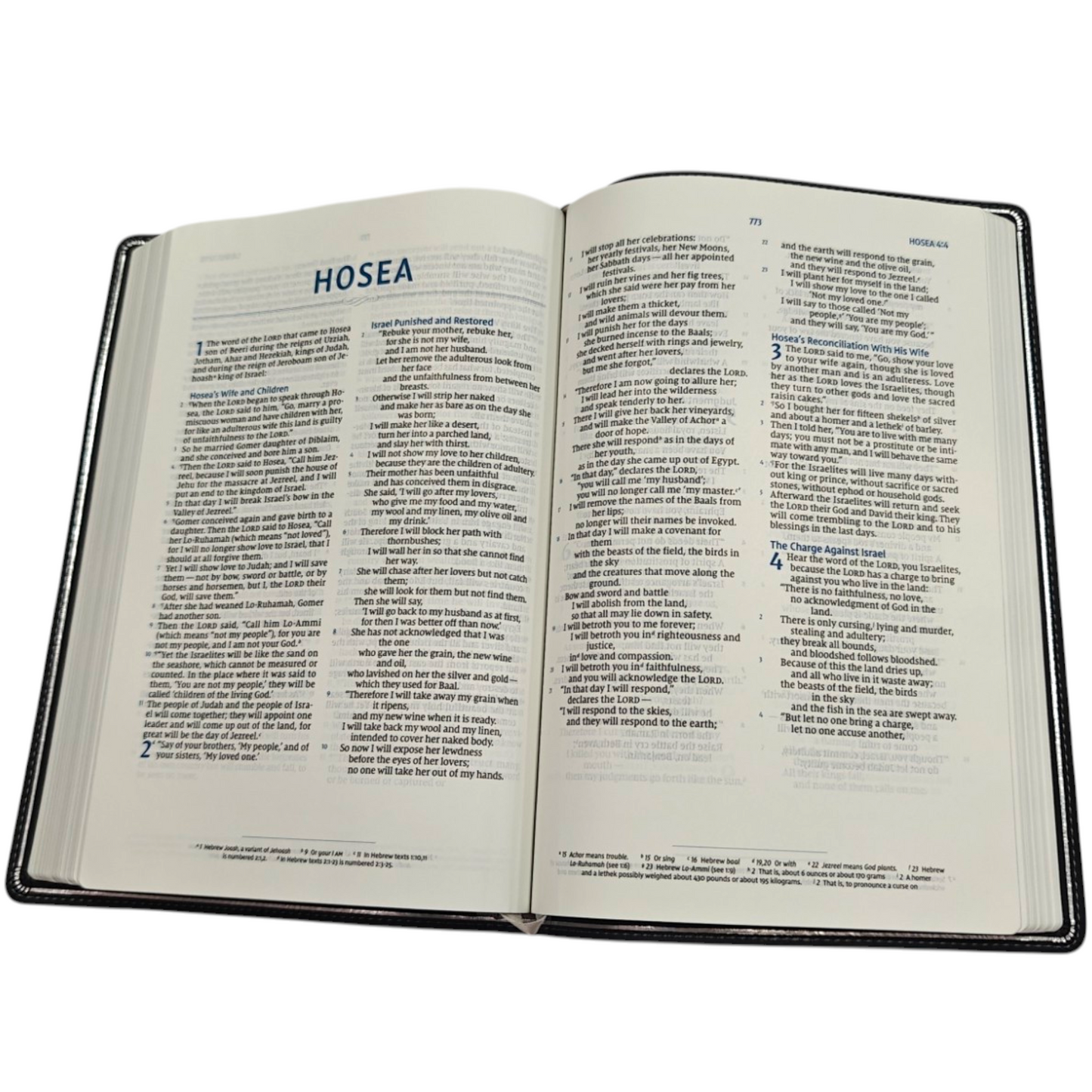 NIV, Preacher's Bible, Verse-By-Verse Format, Leathersoft, Black, Comfort Print