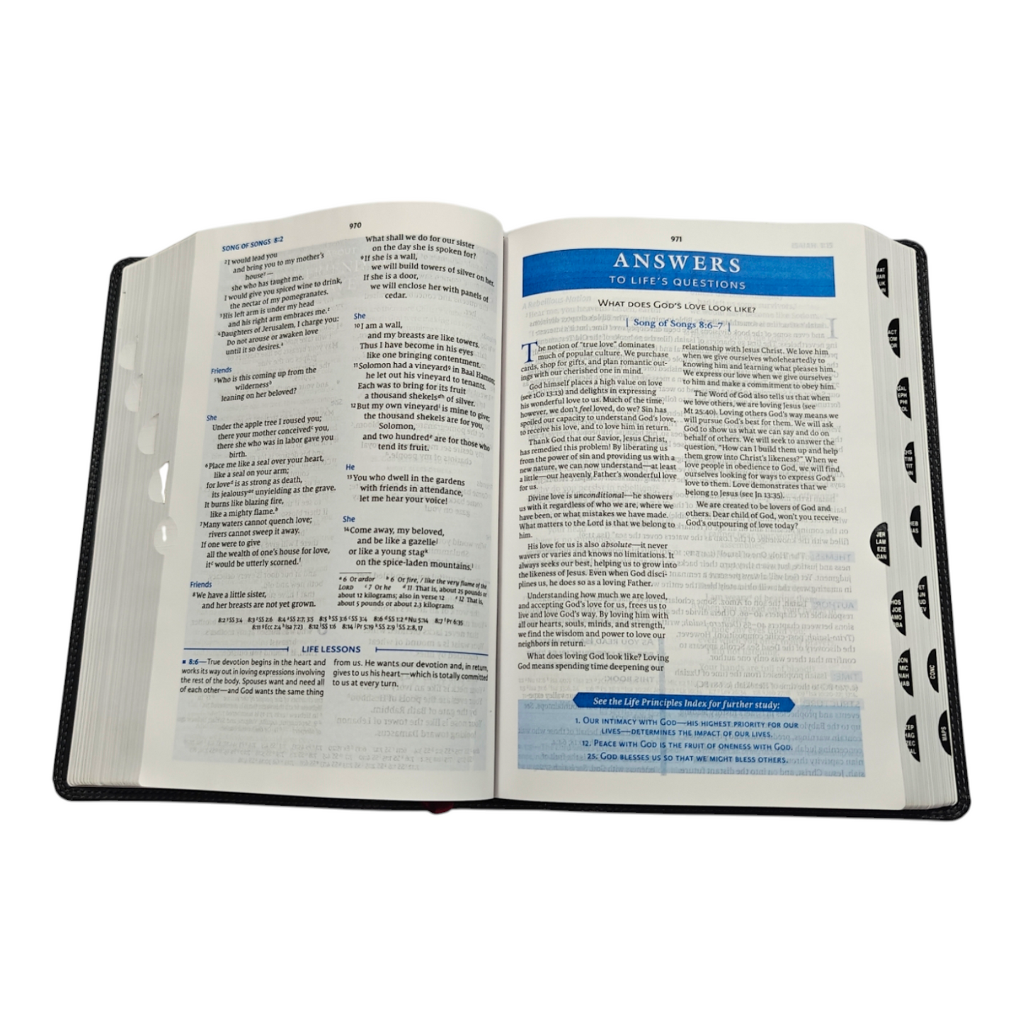 NIV, Charles F. Stanley Life Principles Bible, 2nd Edition