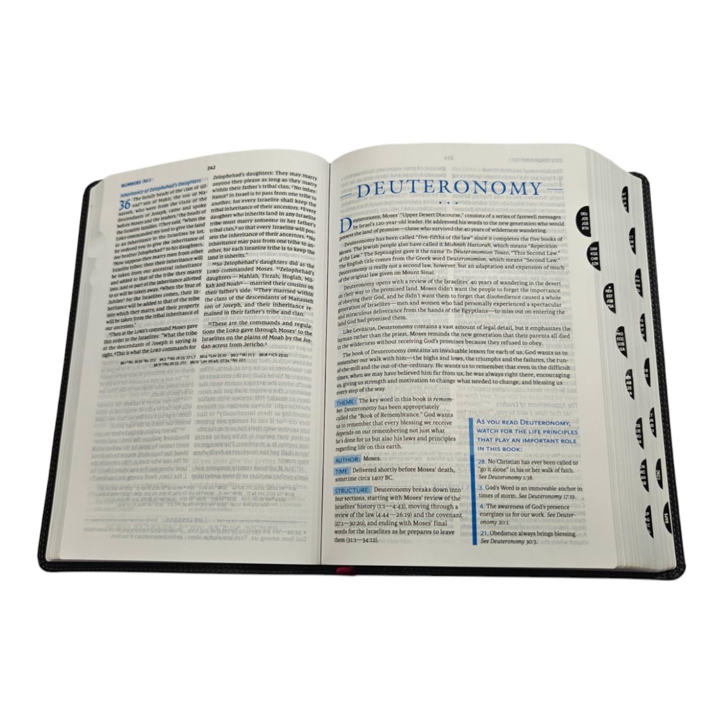 NIV, Charles F. Stanley Life Principles Bible, 2nd Edition
