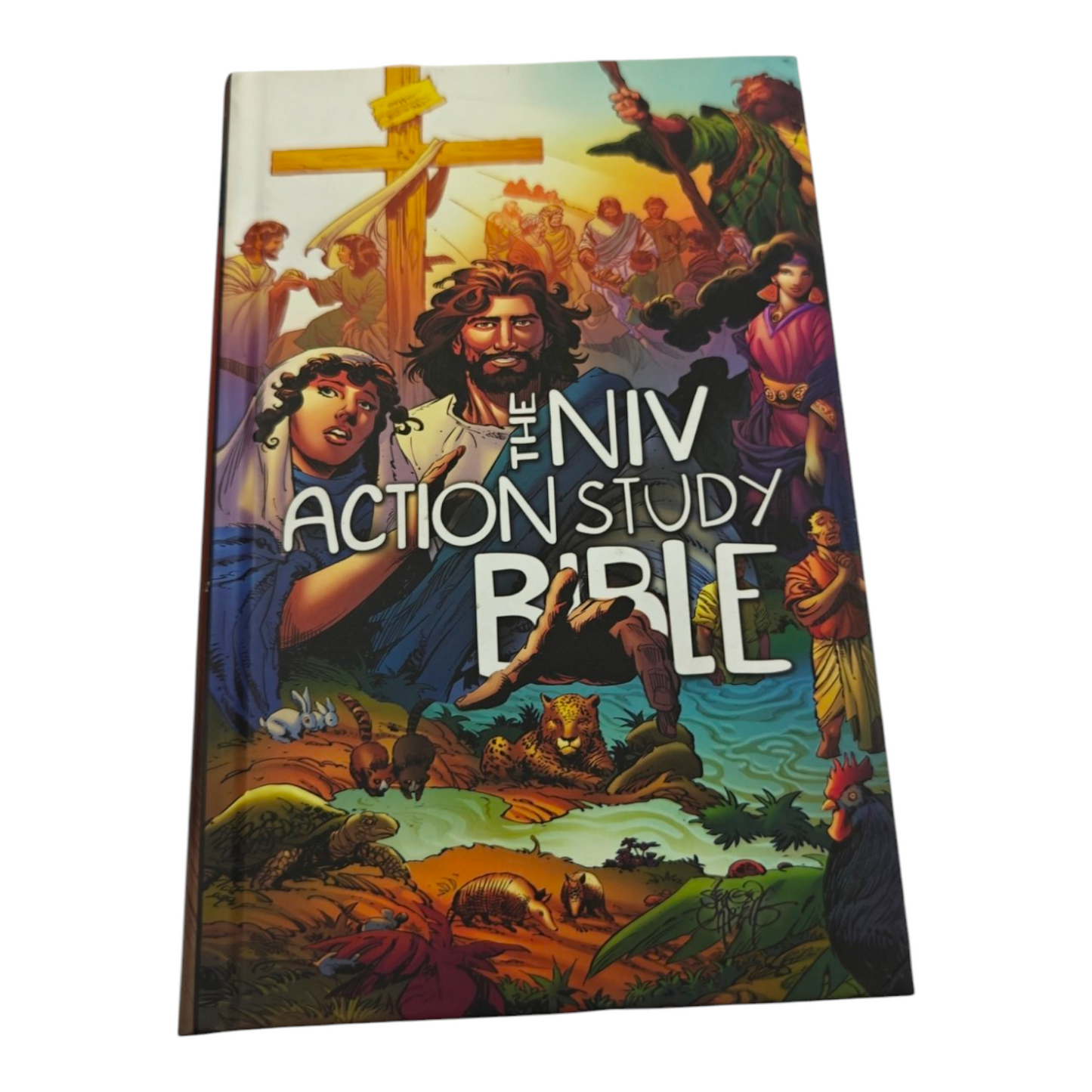 The NIV Action Study Bible