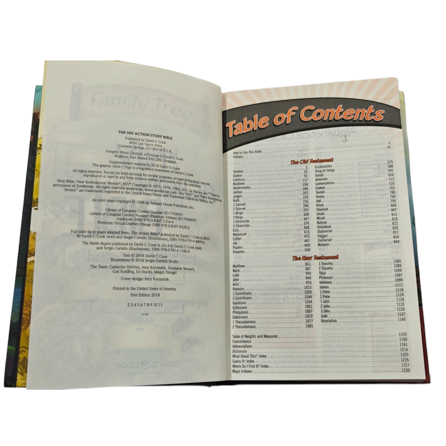 The NIV Action Study Bible