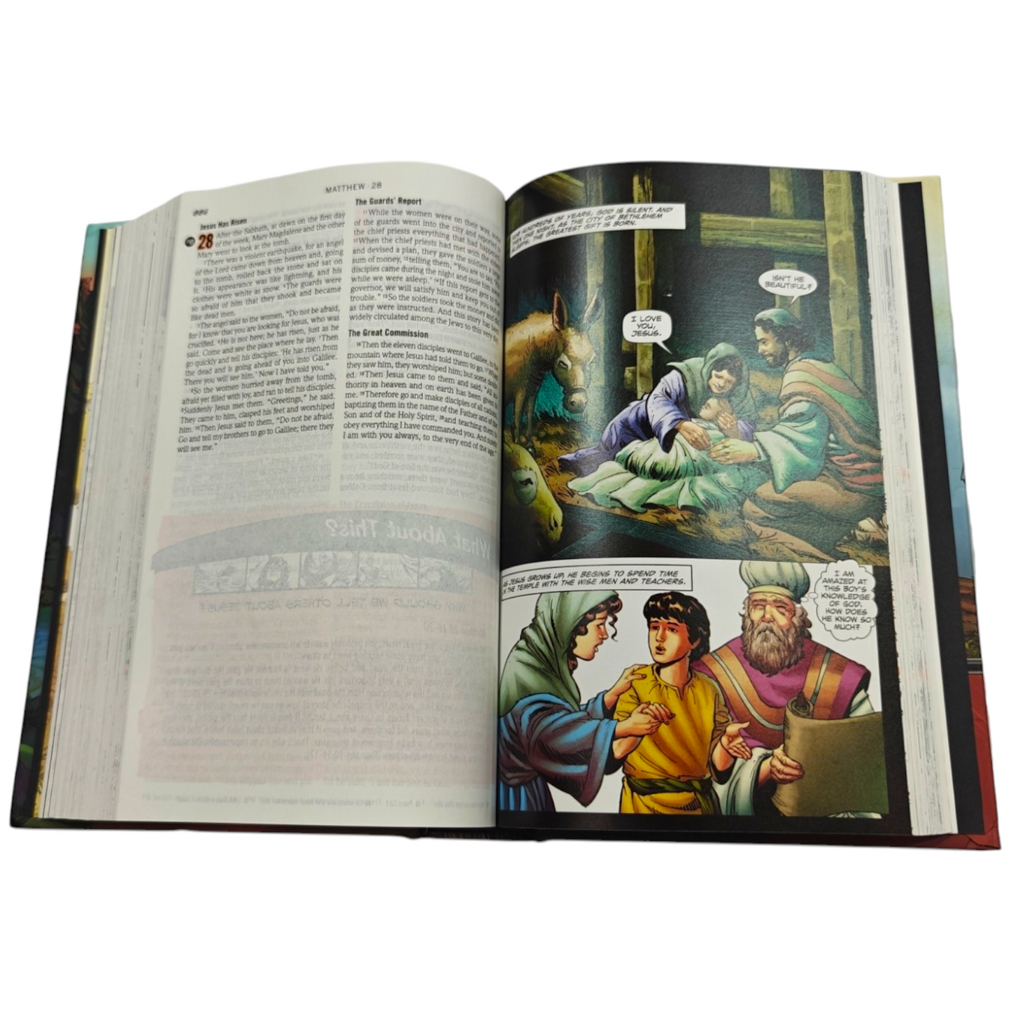 The NIV Action Study Bible
